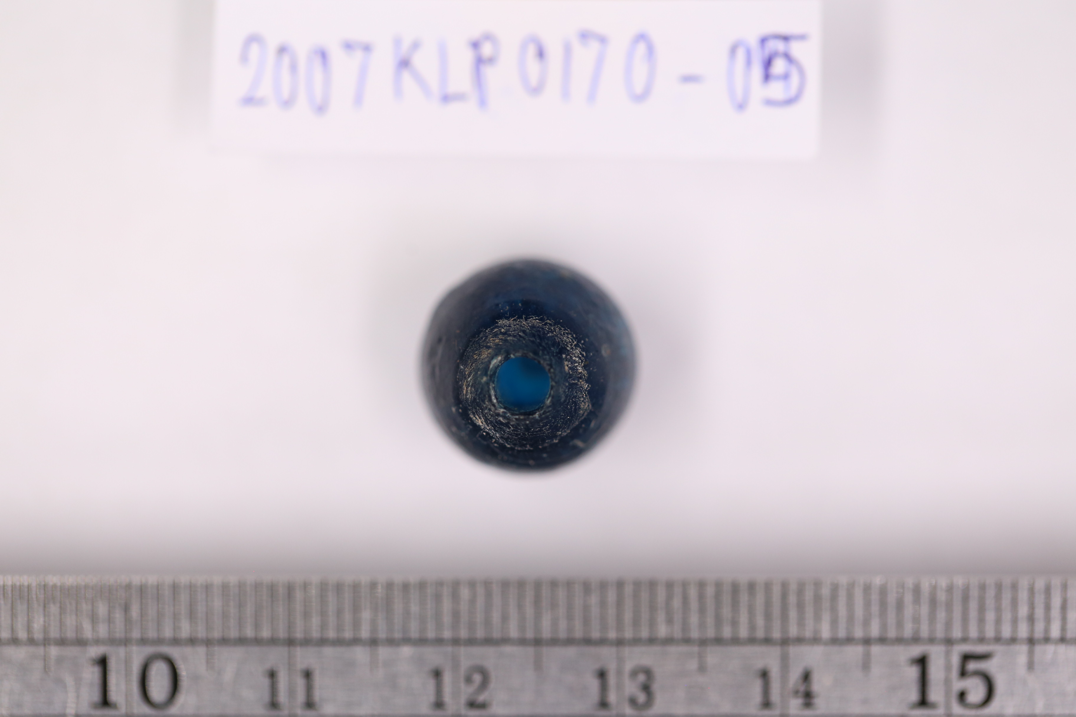 IMG_3011.JPG