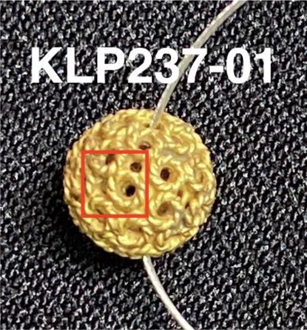 KLP237-01.jpg
