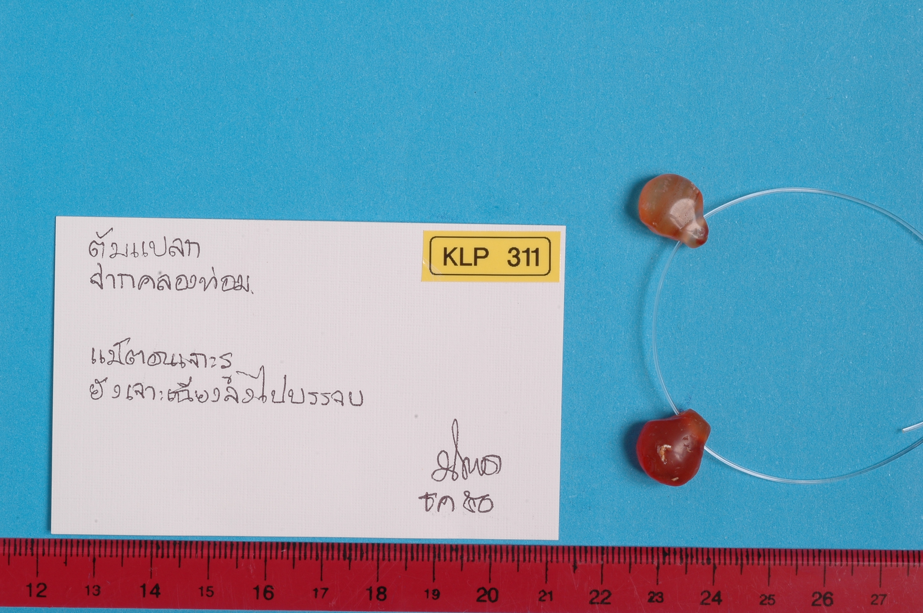 KLP_311.jpg