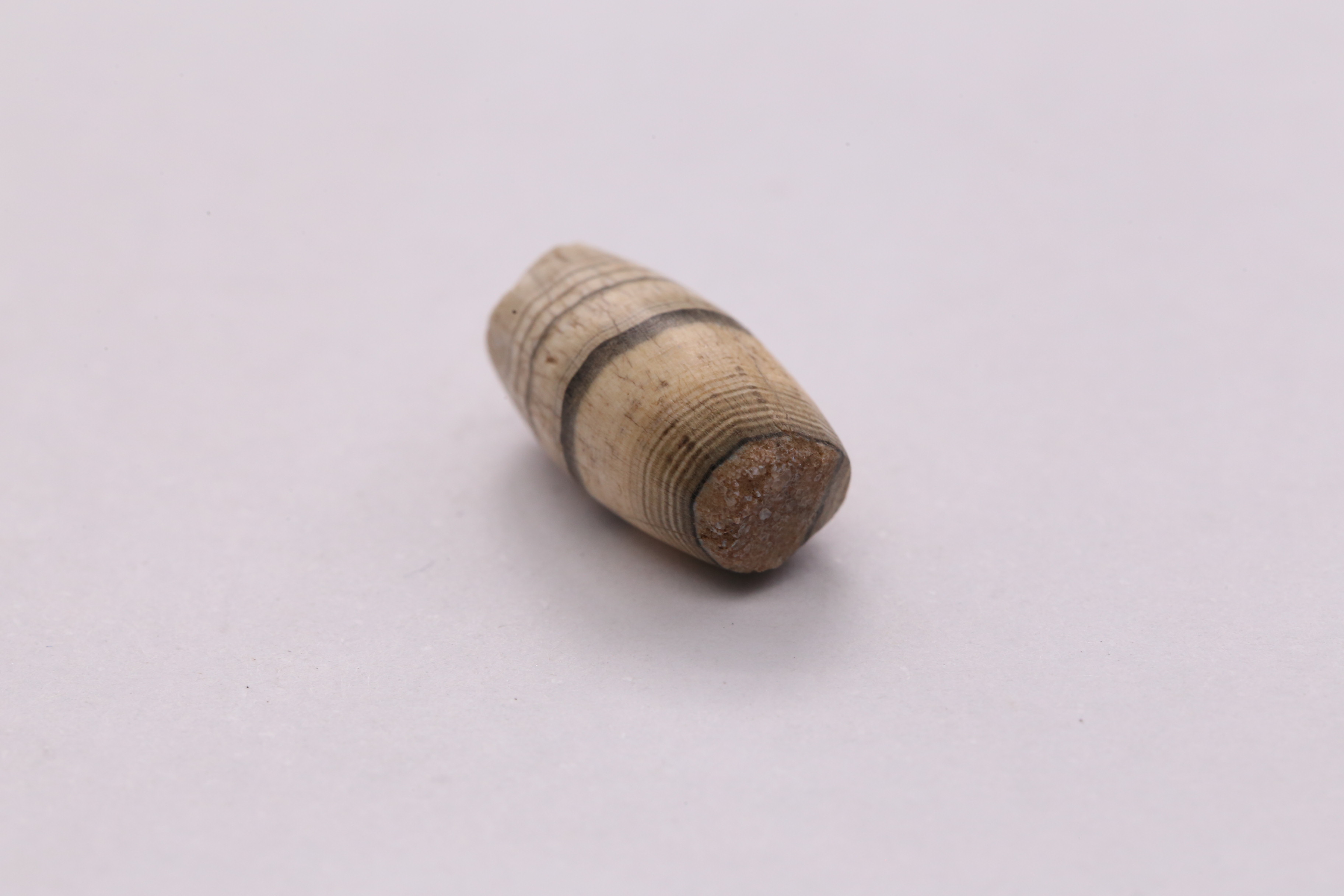 IMG_6586.JPG