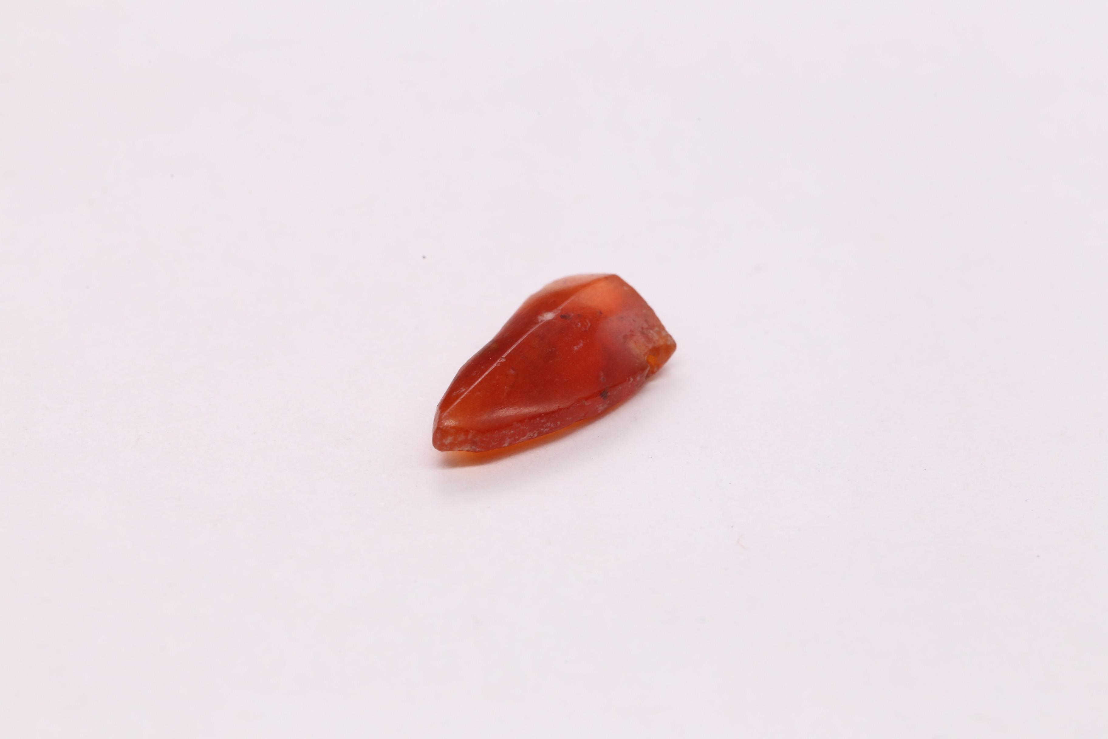 IMG_6328.JPG