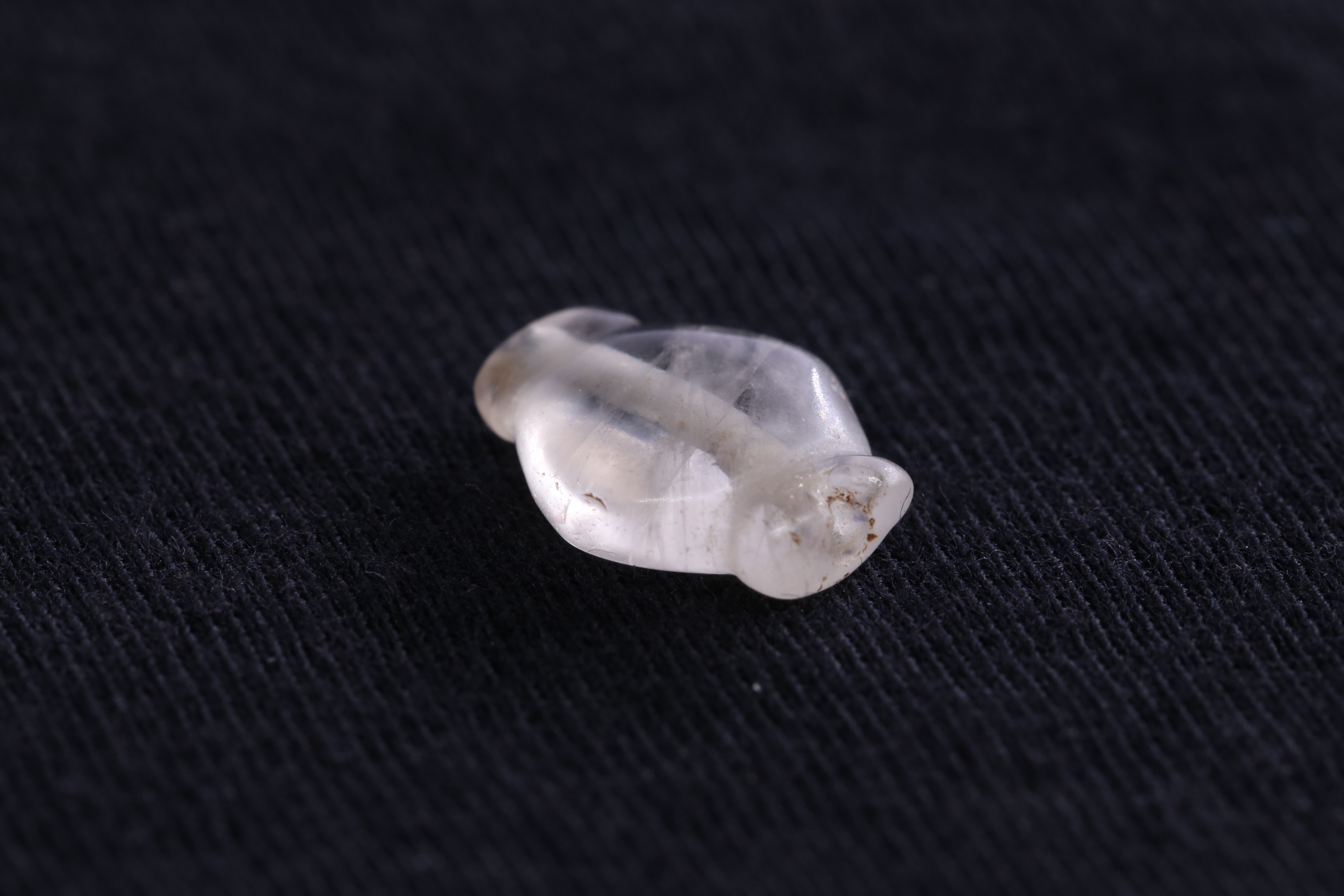 IMG_1548.JPG