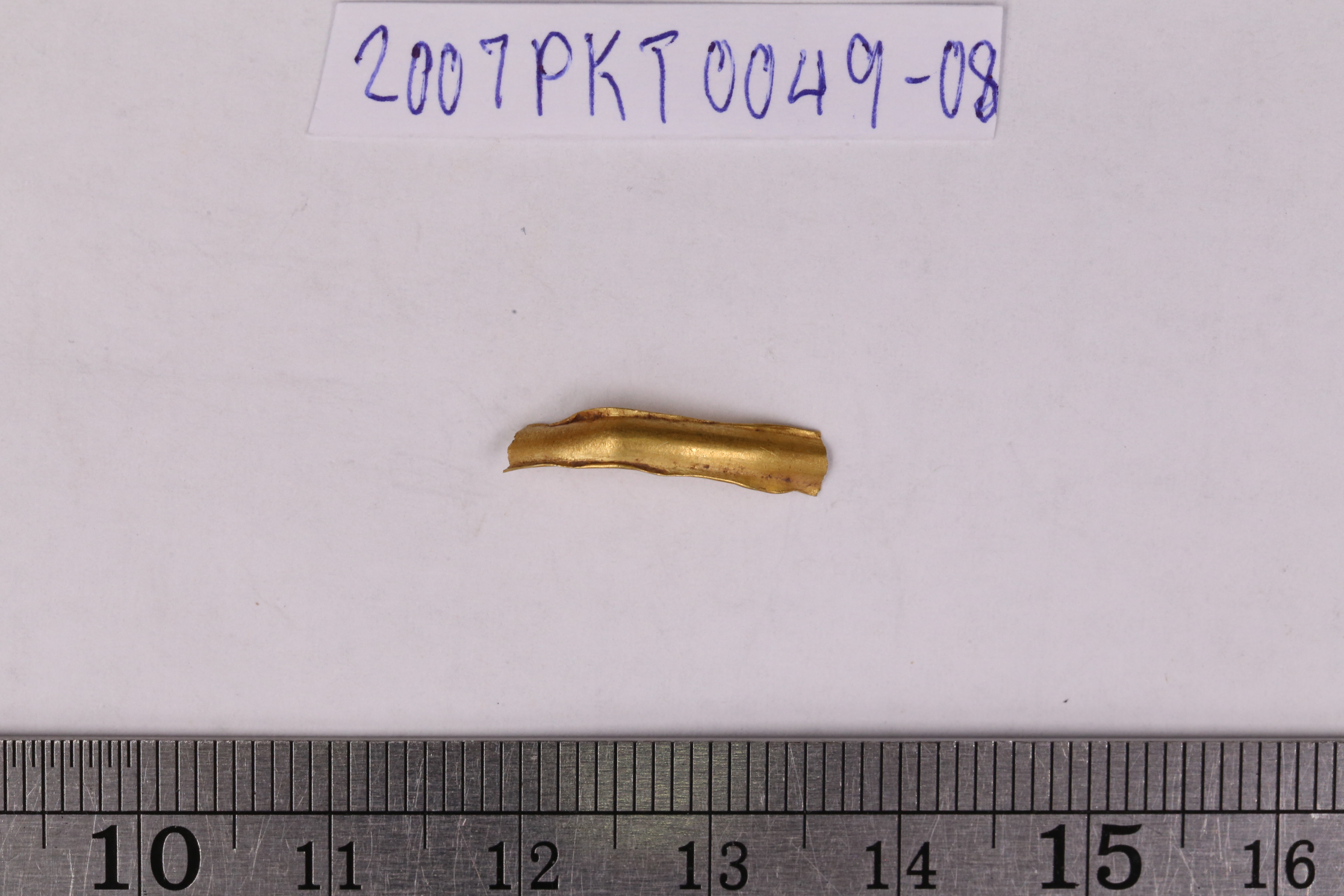 IMG_4145.JPG