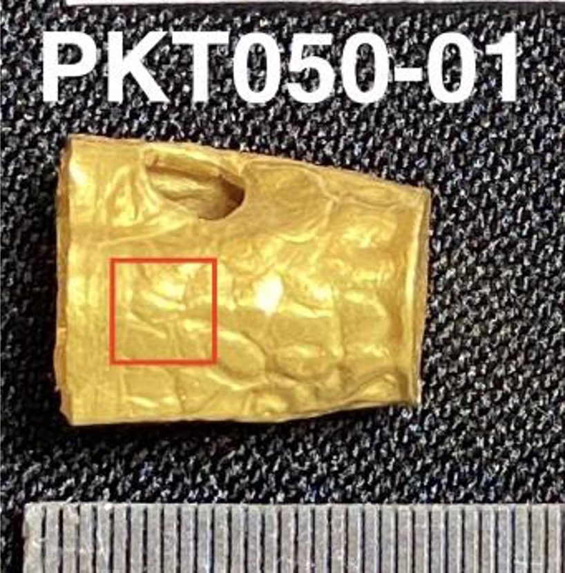 PKT50-01.jpg