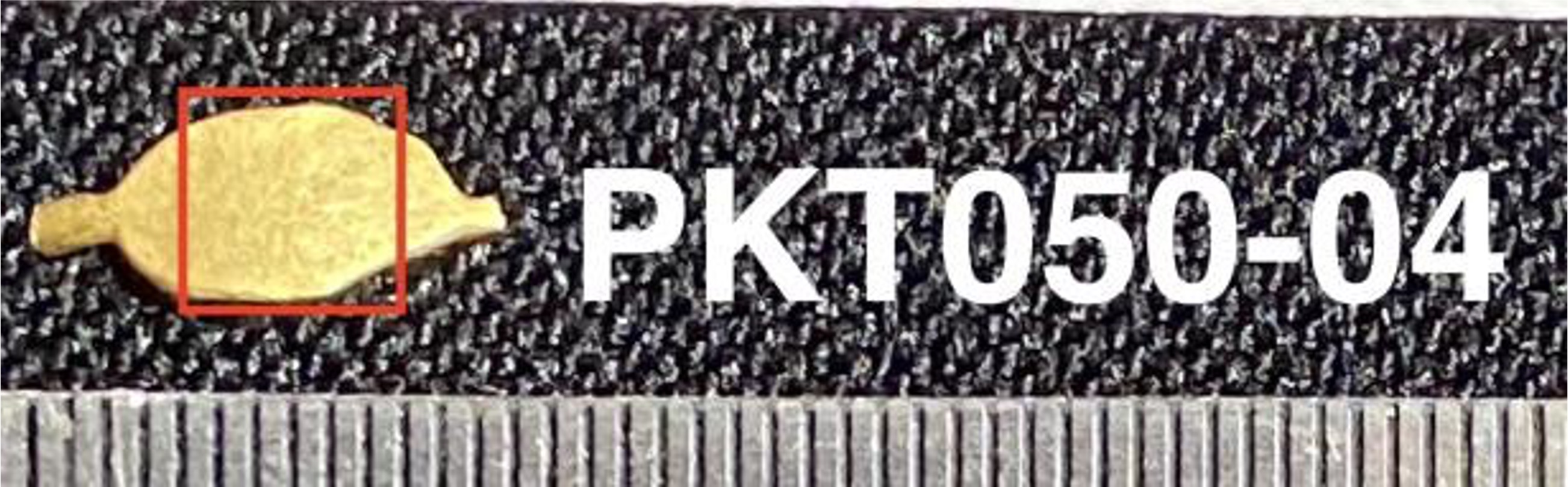 PKT50-04.jpg