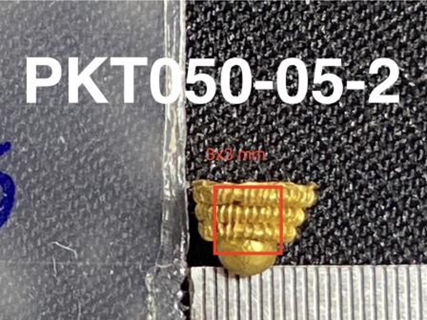 PKT50-05.2.jpg