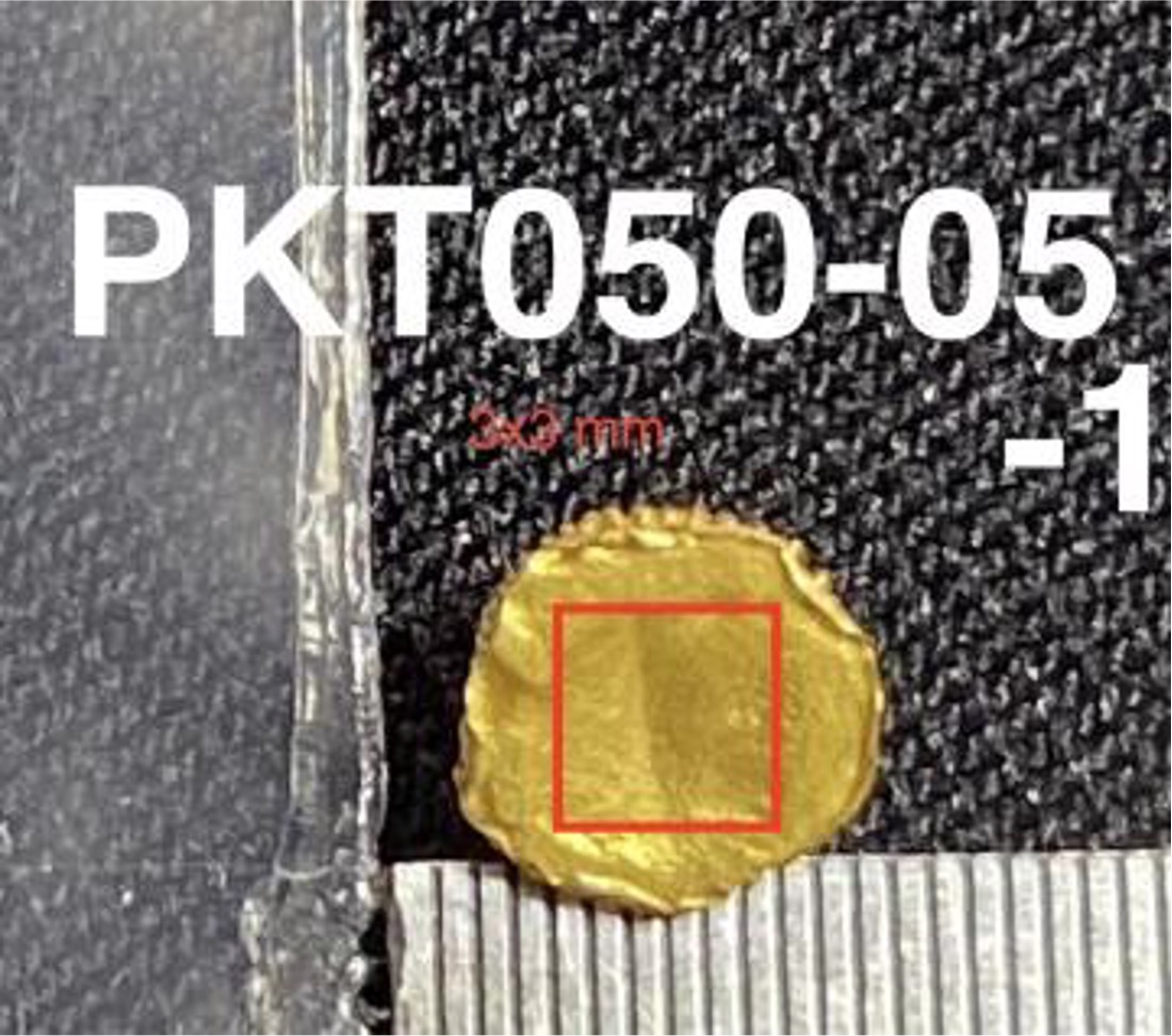 PKT50-05.jpg