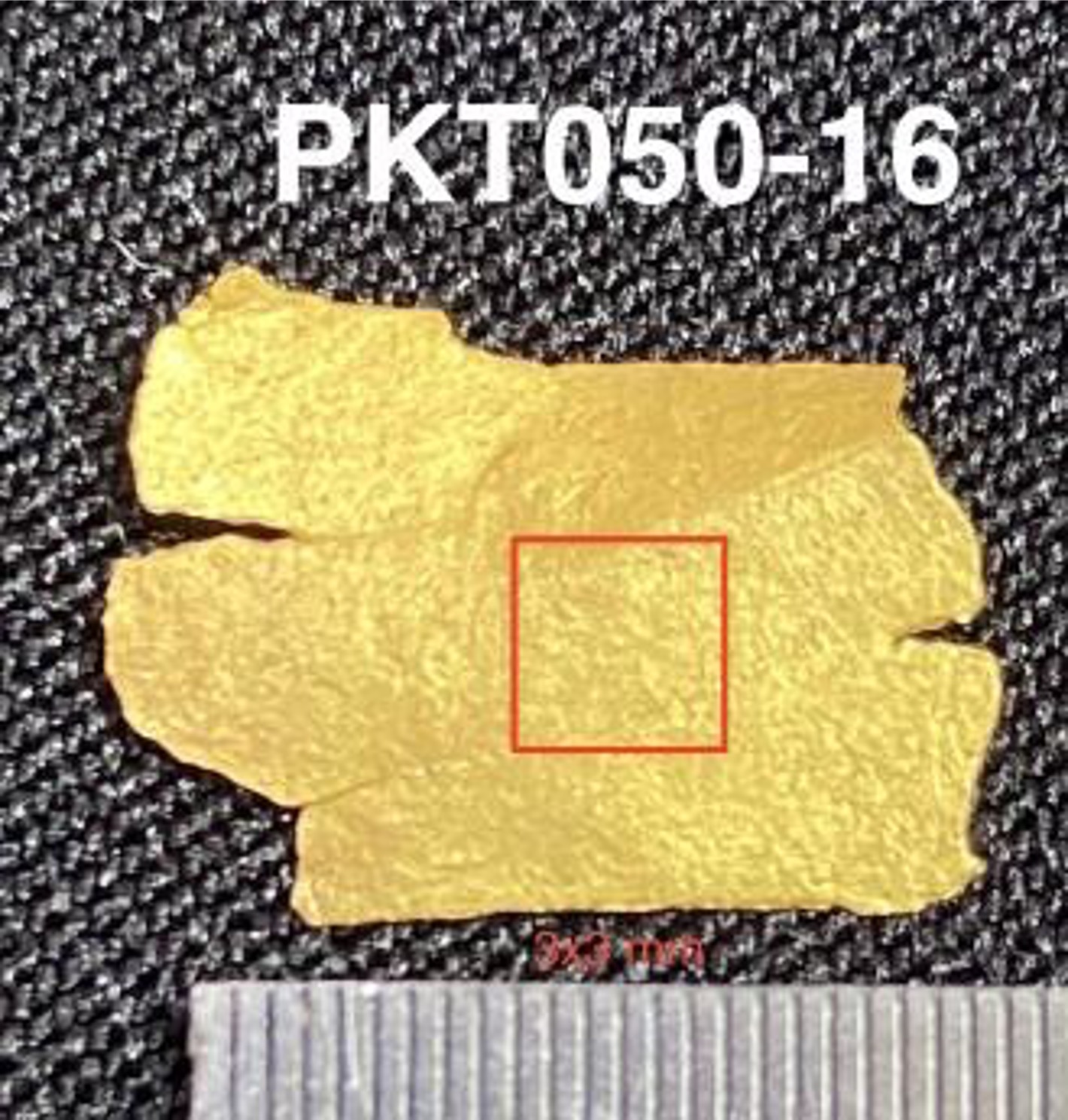 PKT50-16.jpg