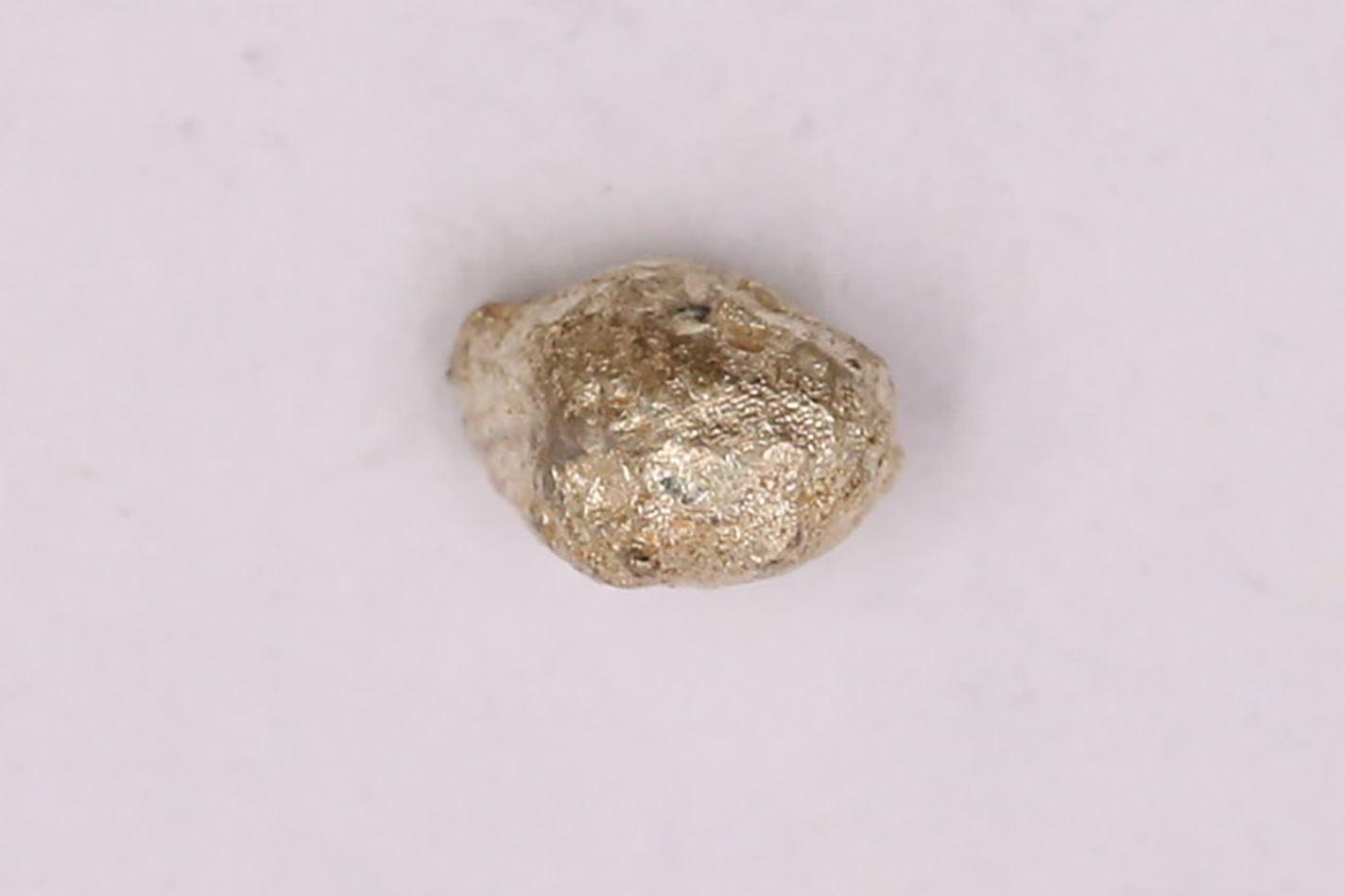 AIMG_3926.jpg