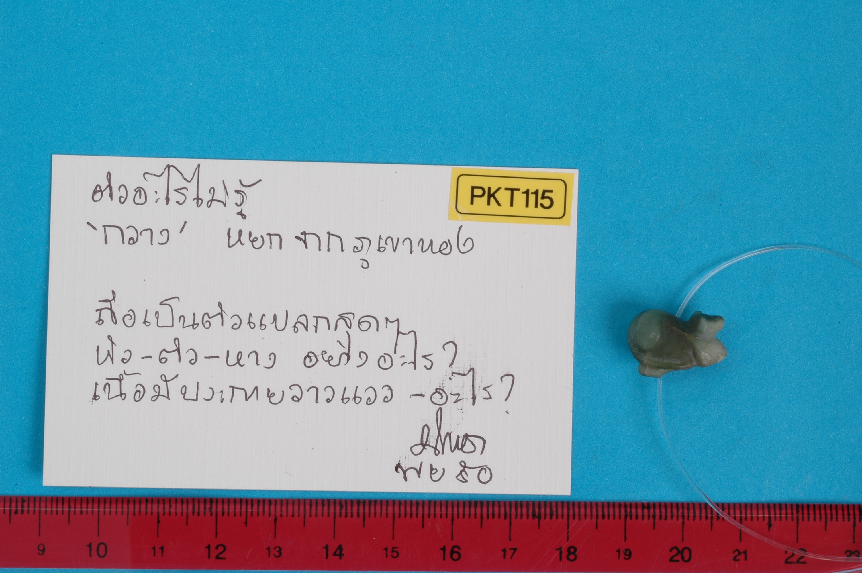PKT_115.jpg