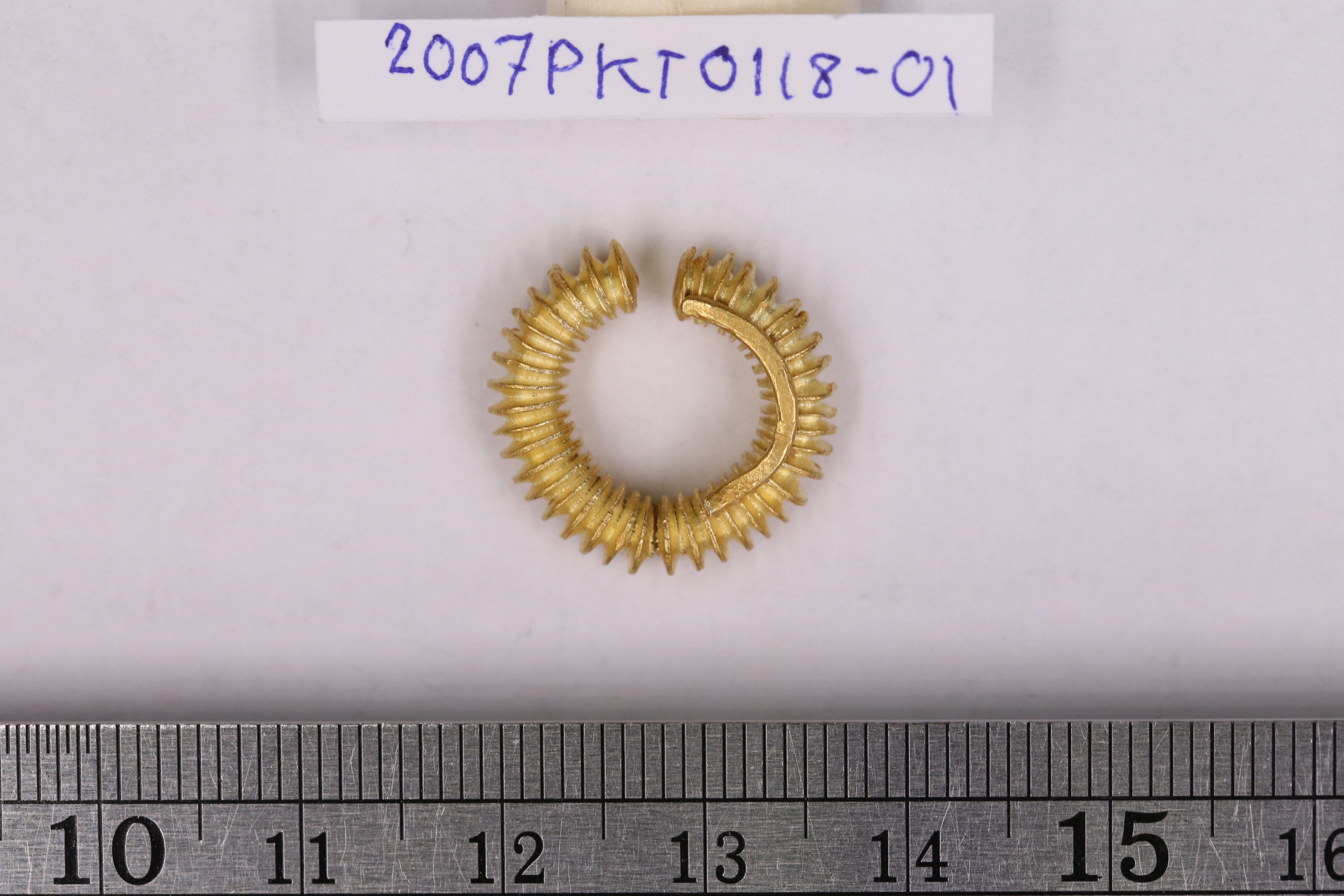 IMG_3947.JPG