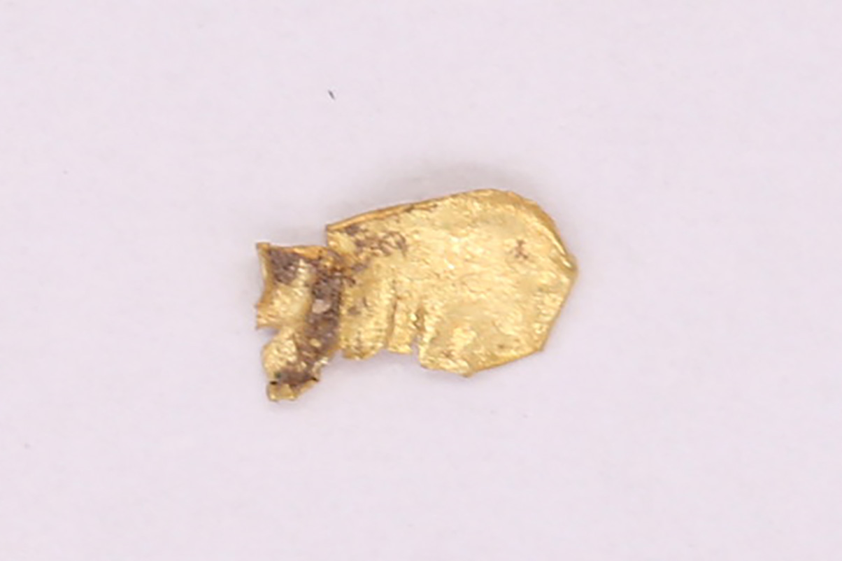 AIMG_3129.jpg