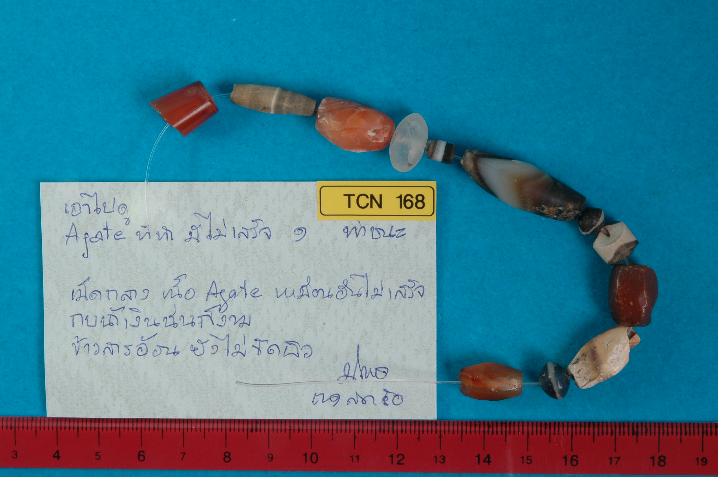 1TCN_168.jpg