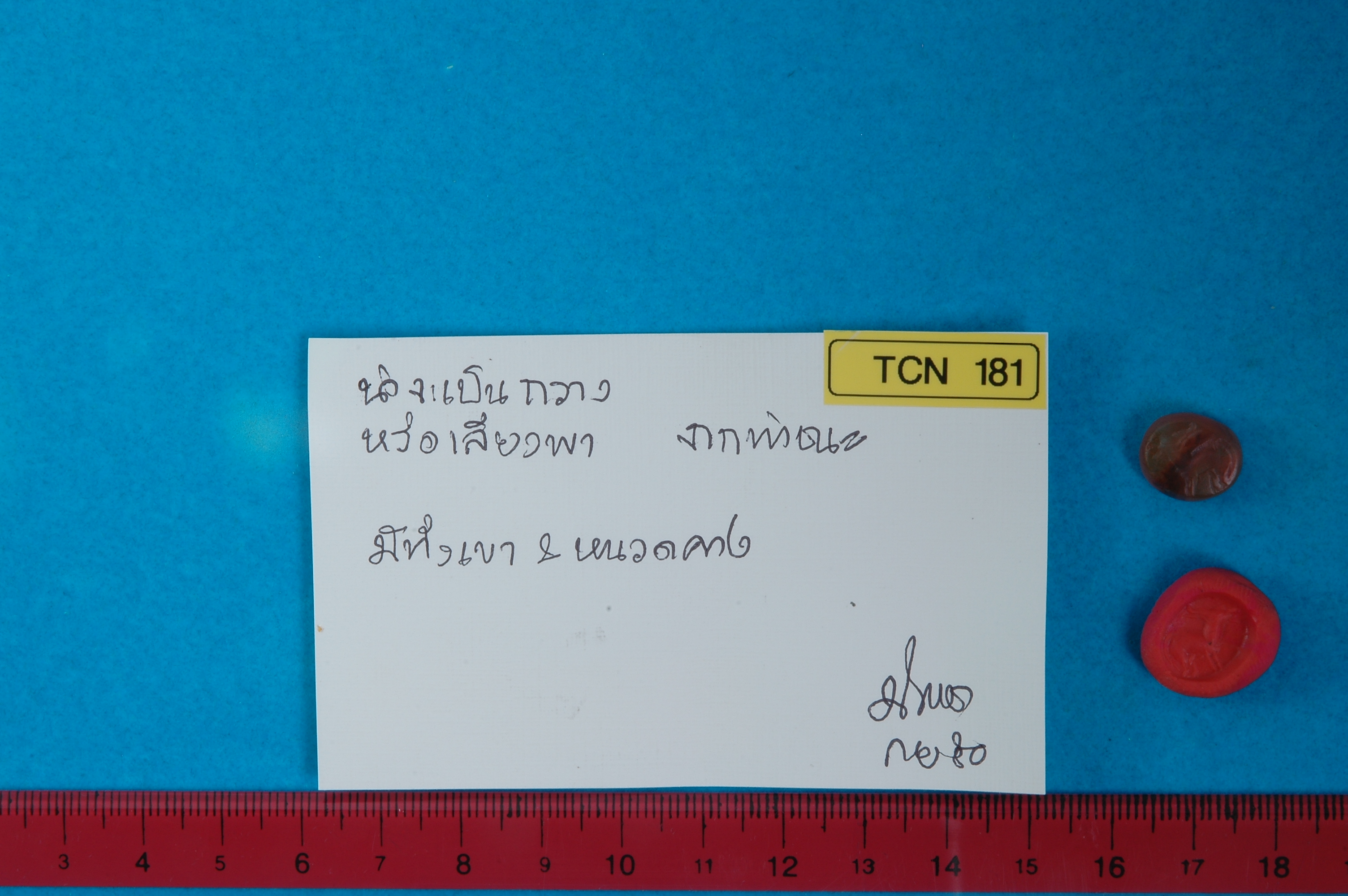 TCN_181.jpg