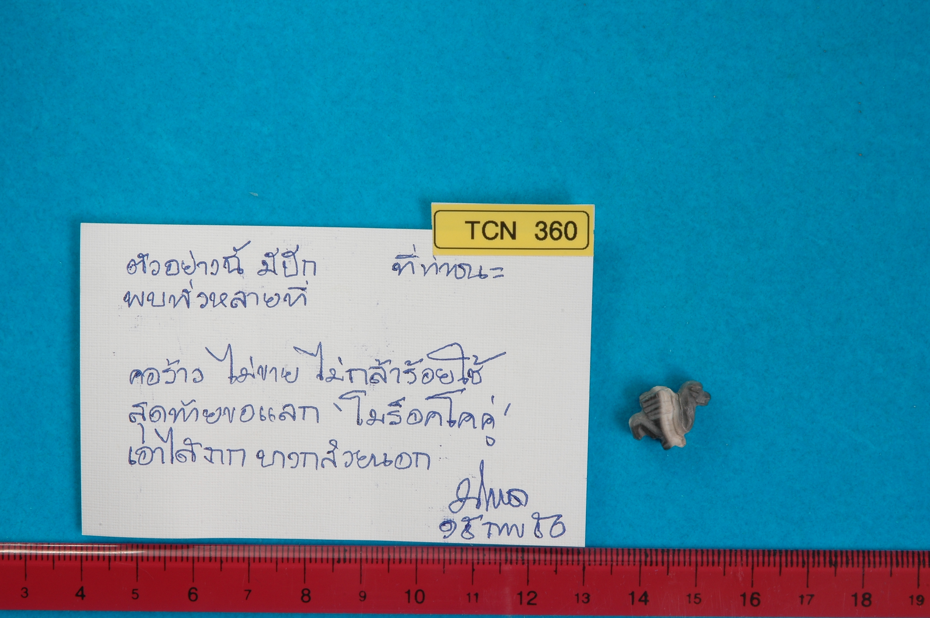 TCN_360.1.jpg