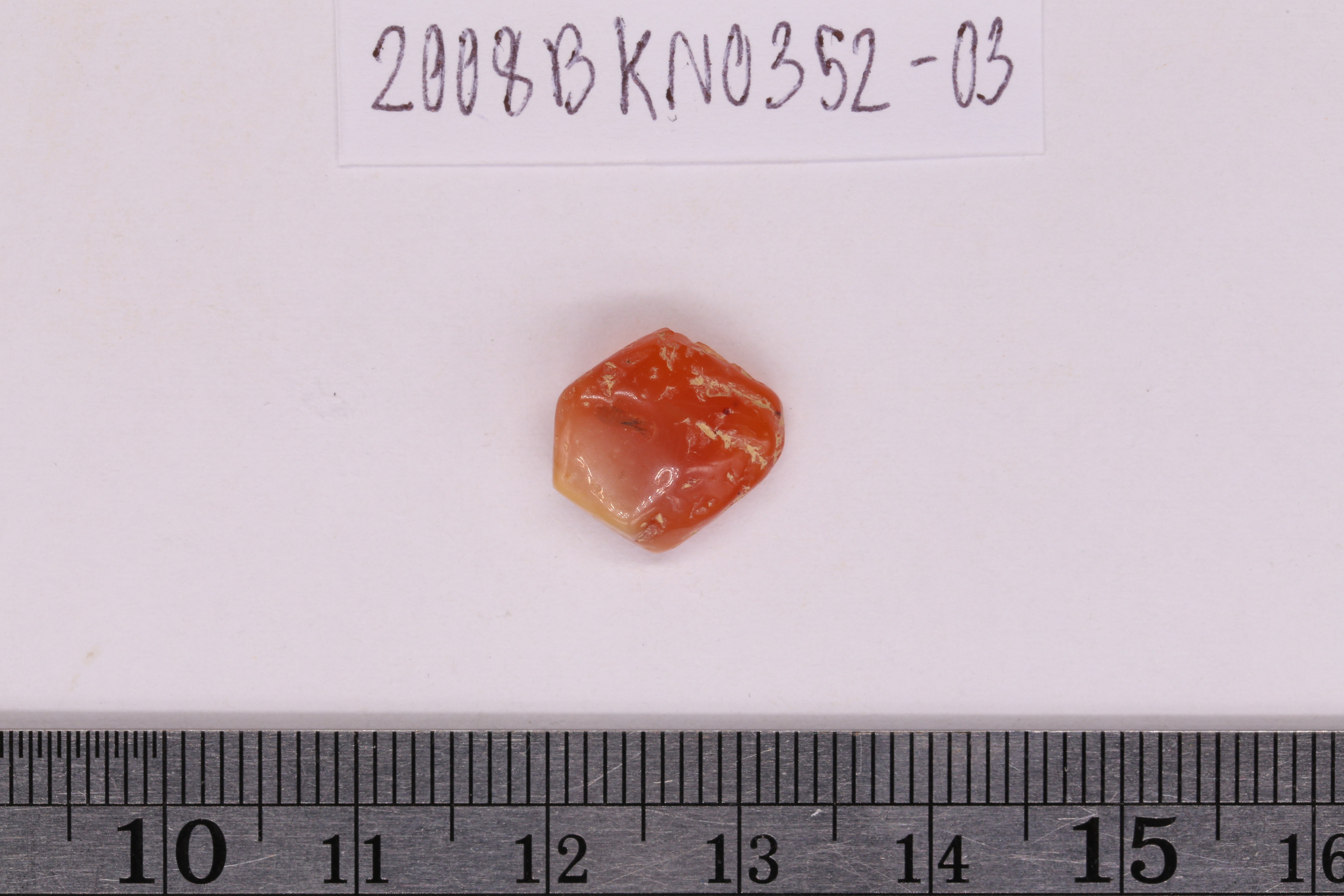 IMG_8993.JPG