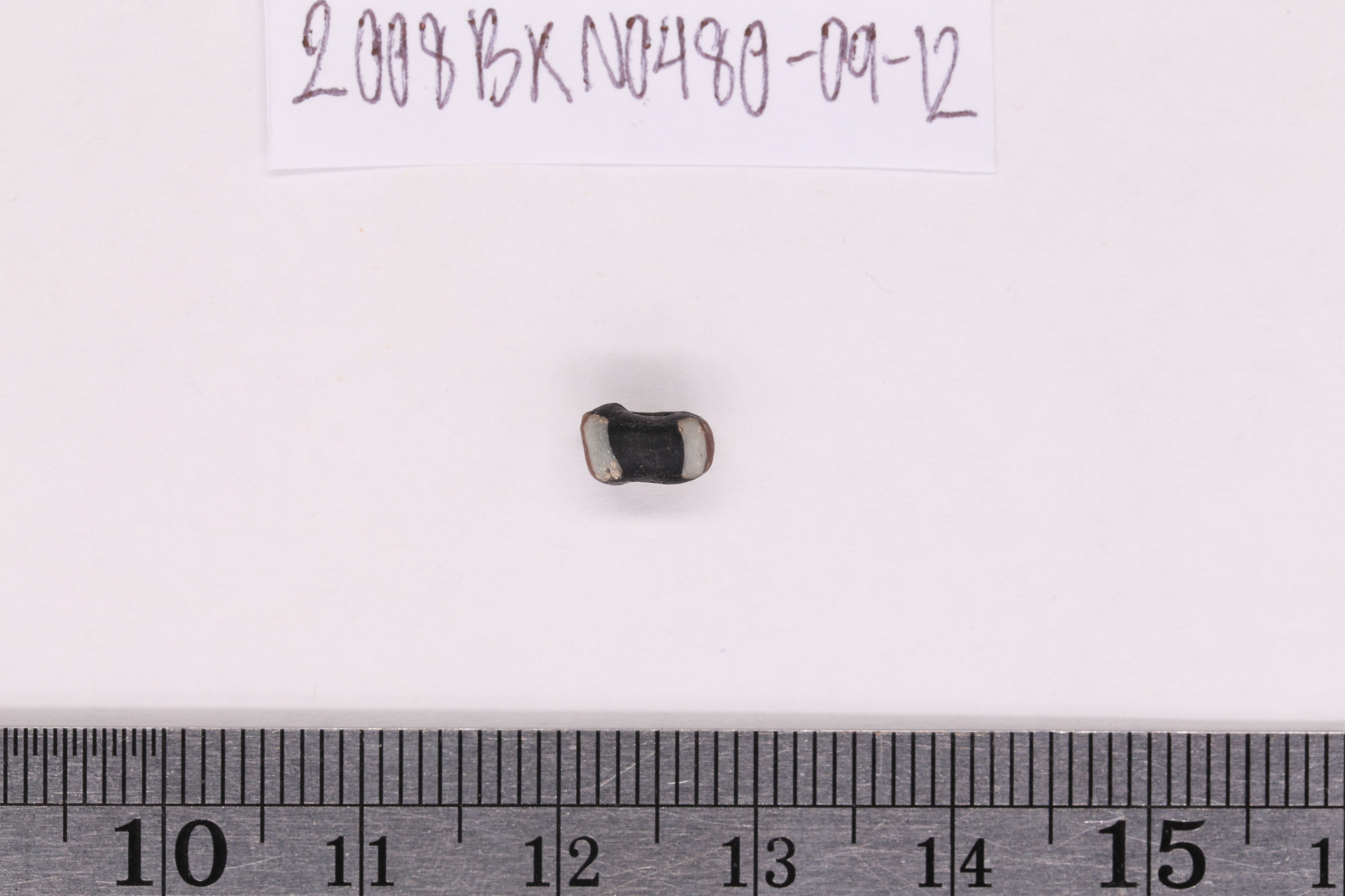 IMG_9743.JPG
