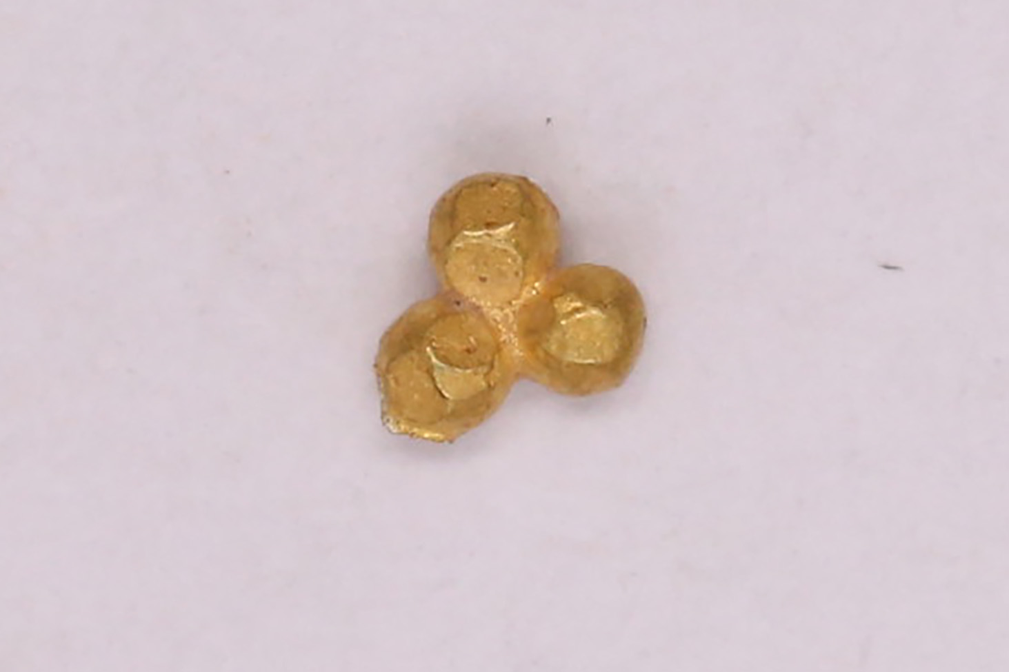 AIMG_5850.jpg