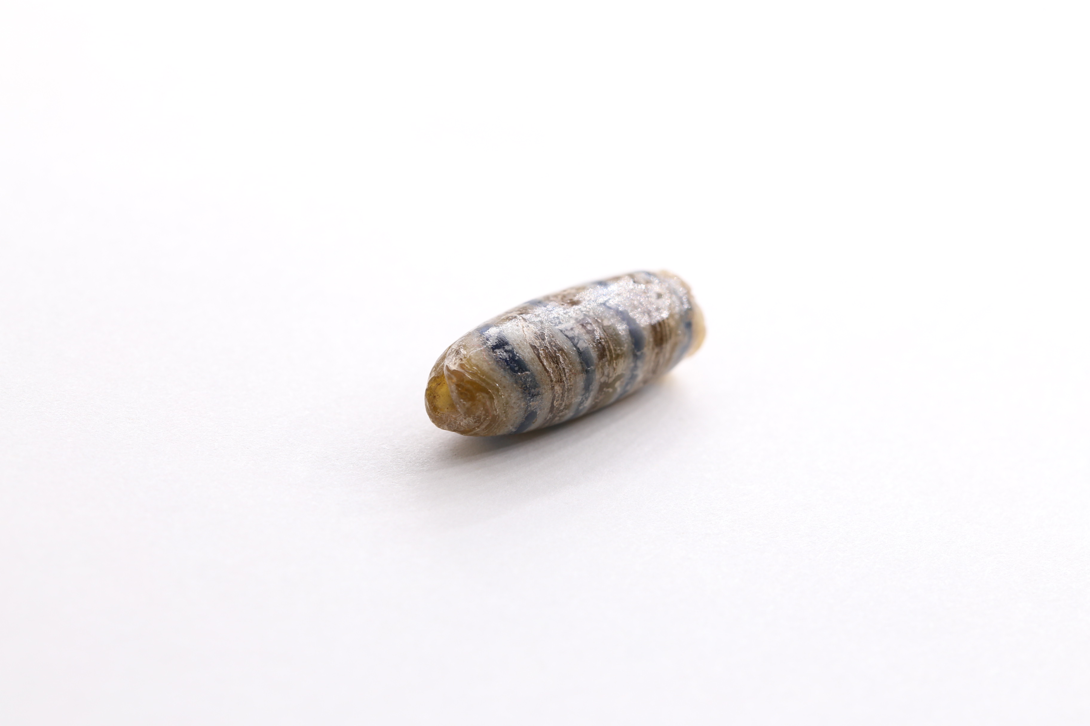 IMG_5247.JPG