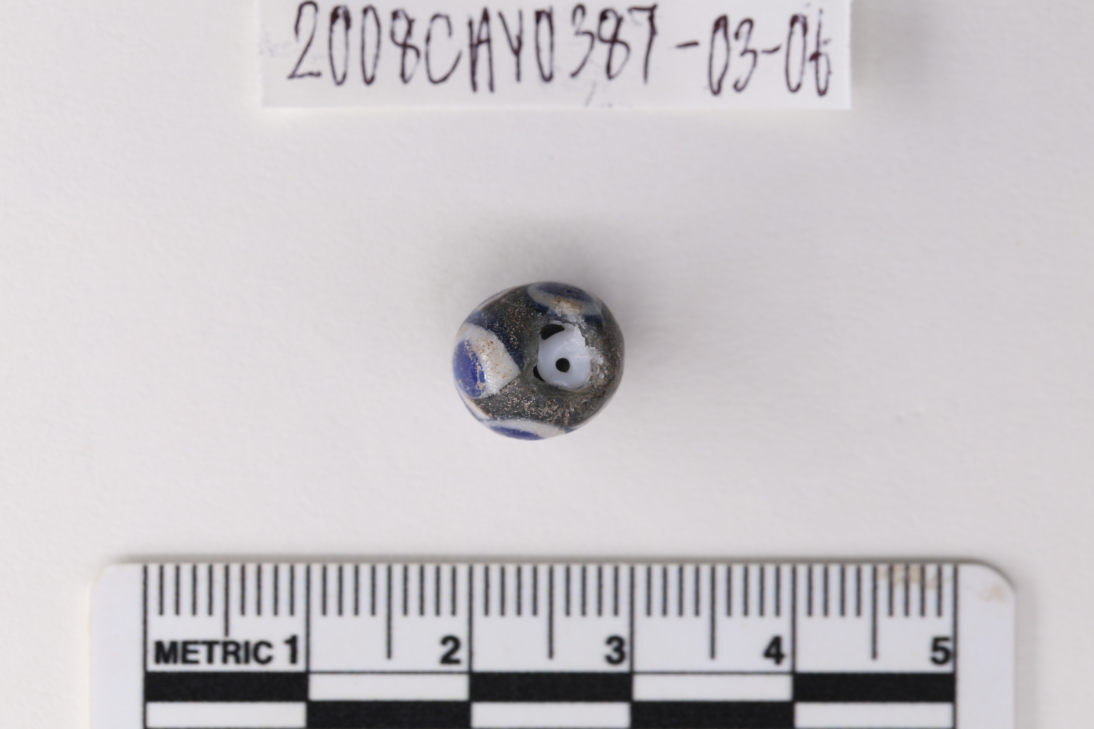IMG_4990.JPG