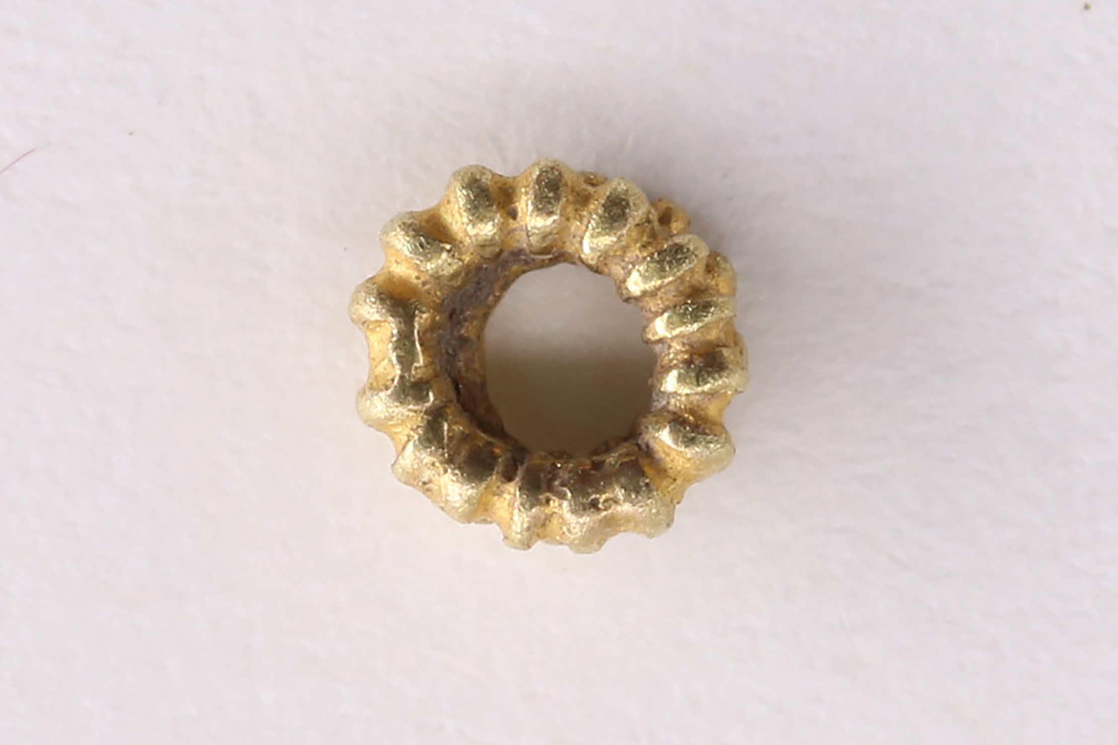 AIMG_5761.jpg