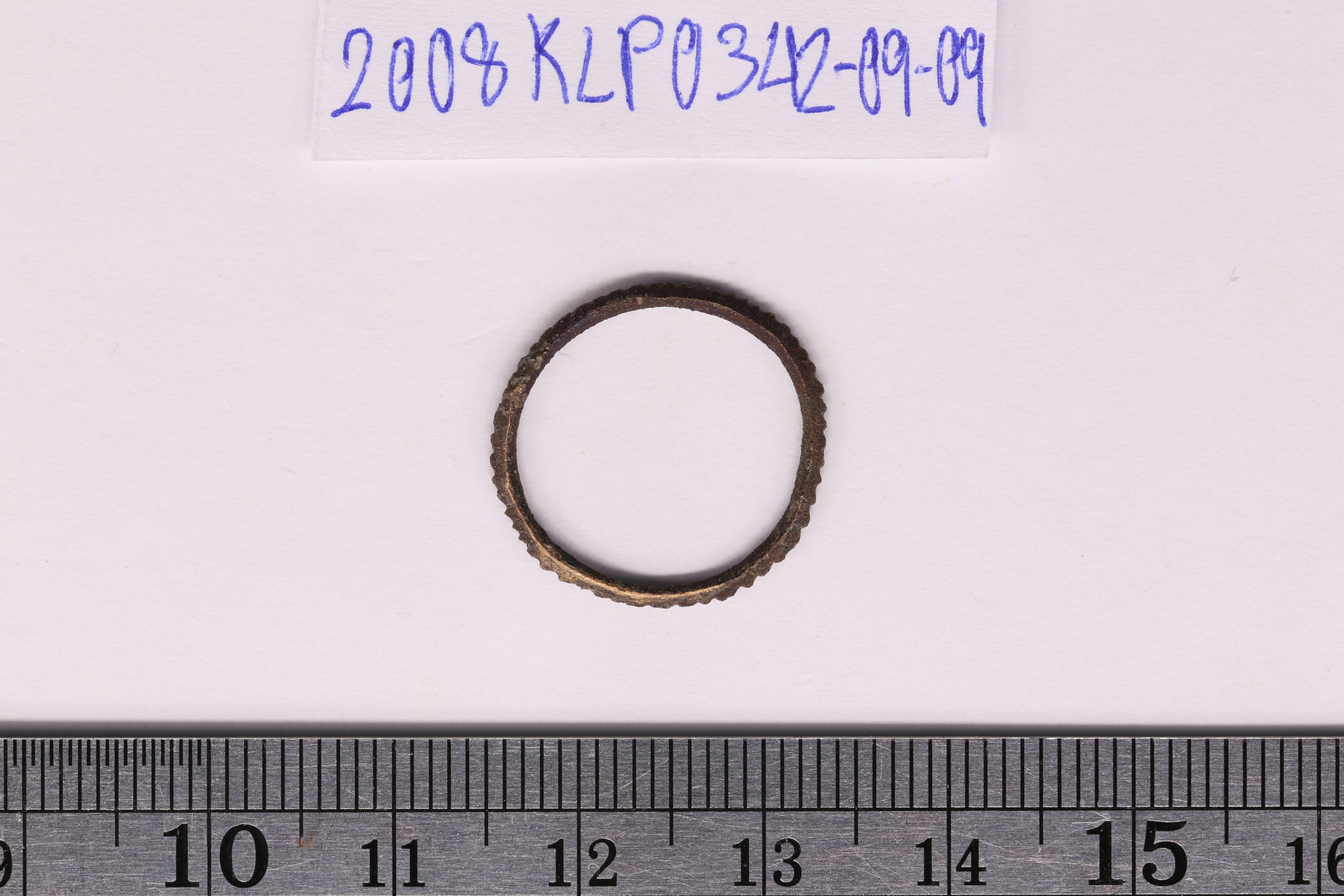 IMG_3921.JPG