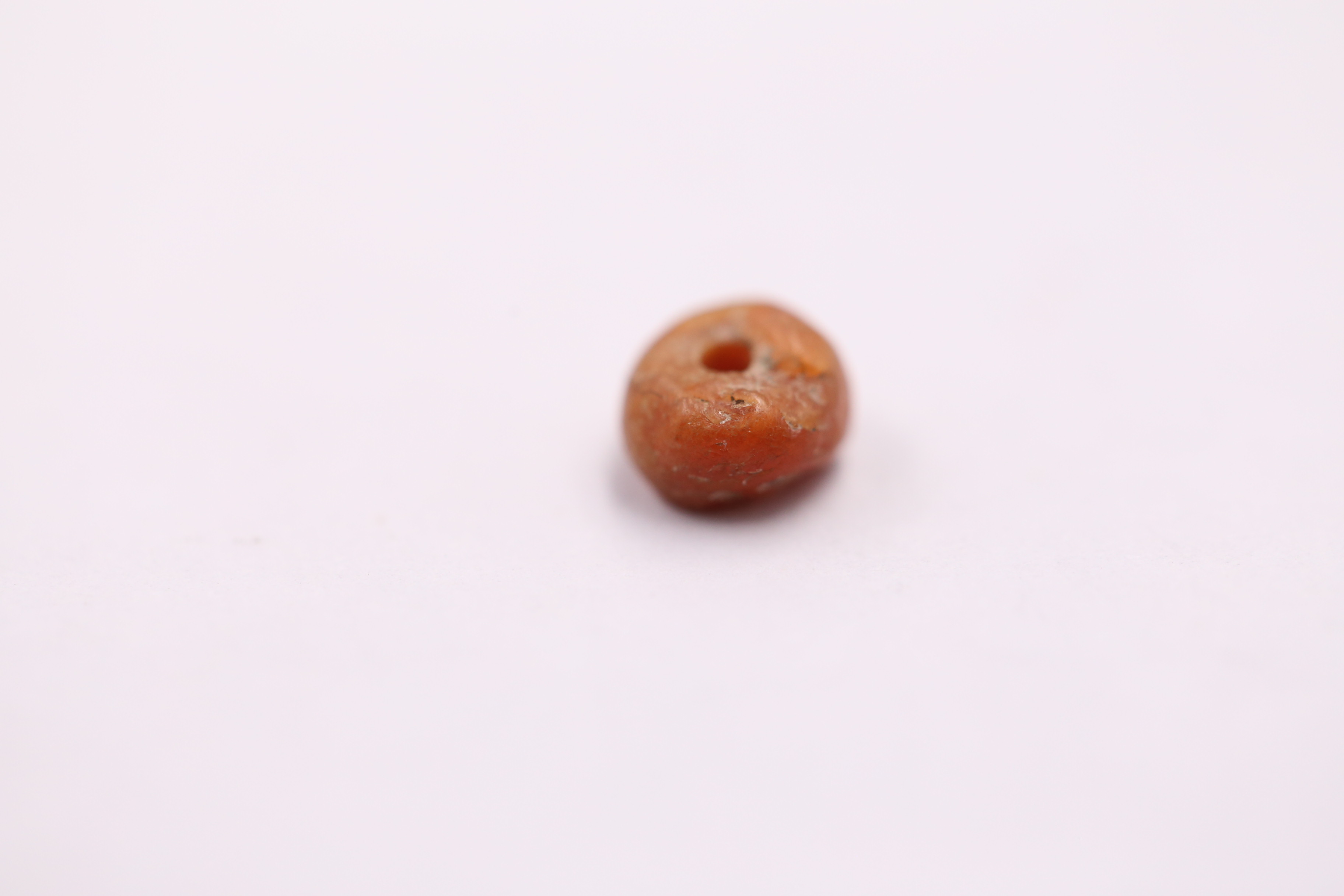 IMG_3801.JPG