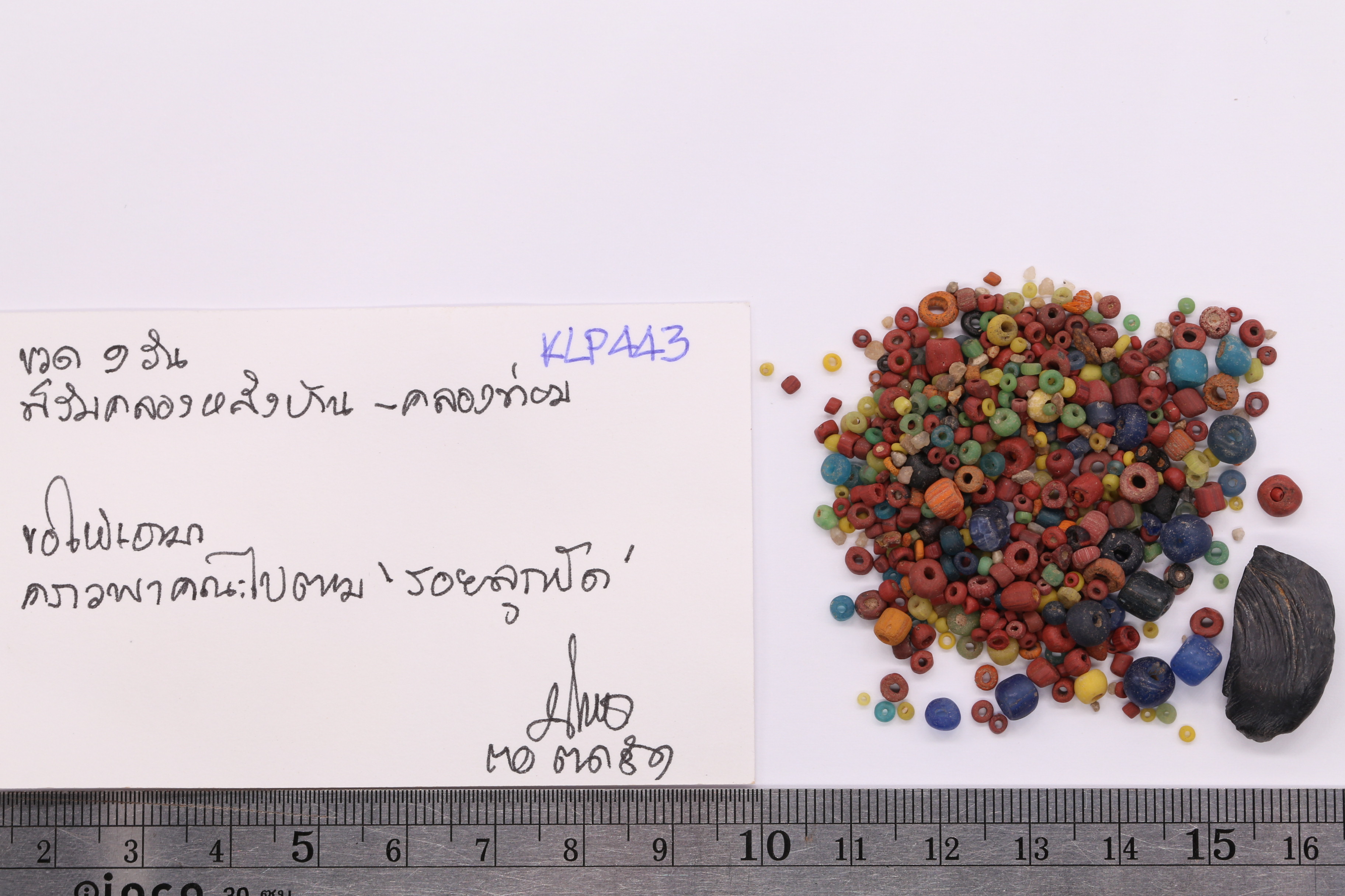 IMG_4649.JPG