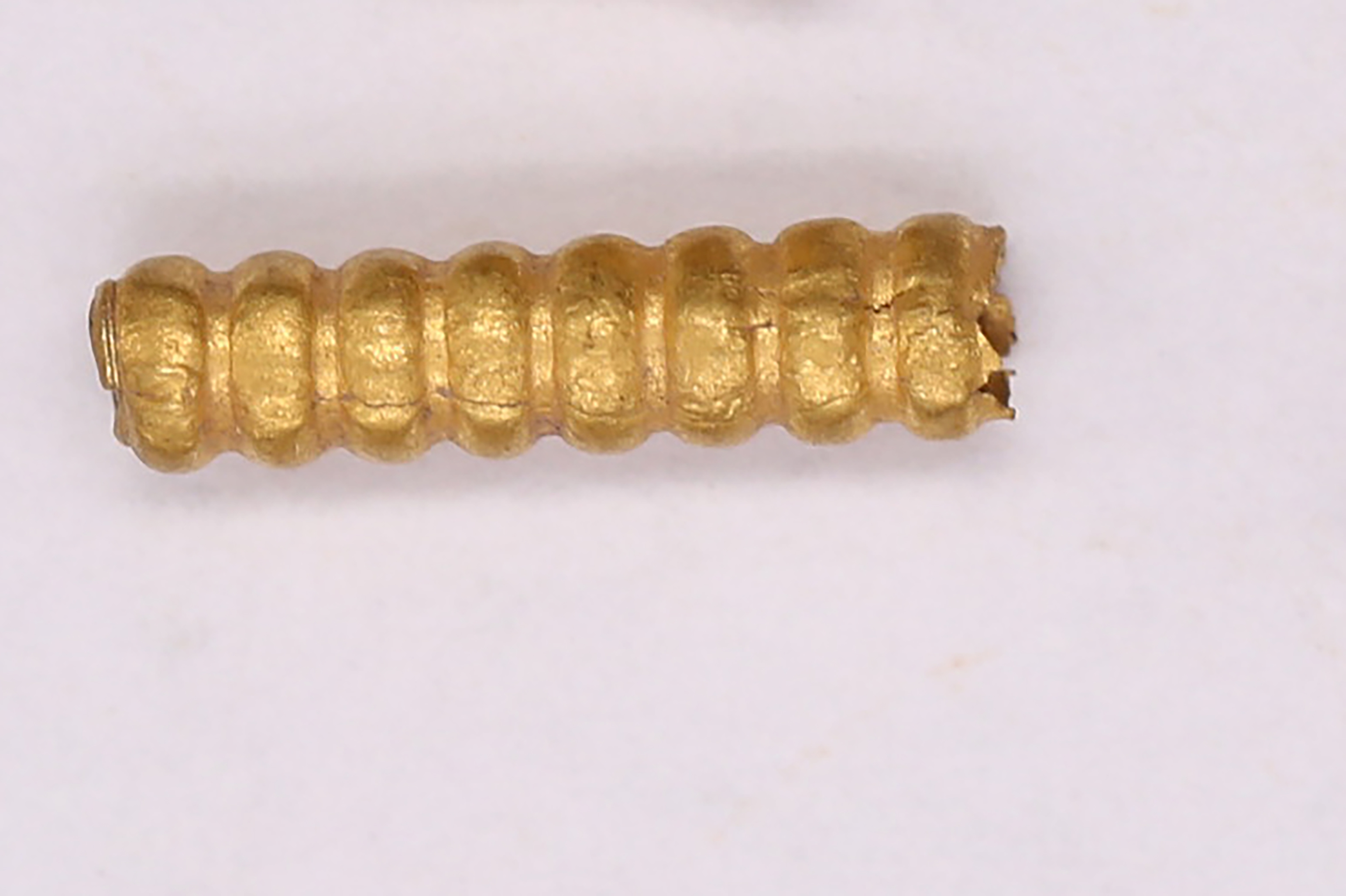 2008KSK0090-02.1-05.jpg