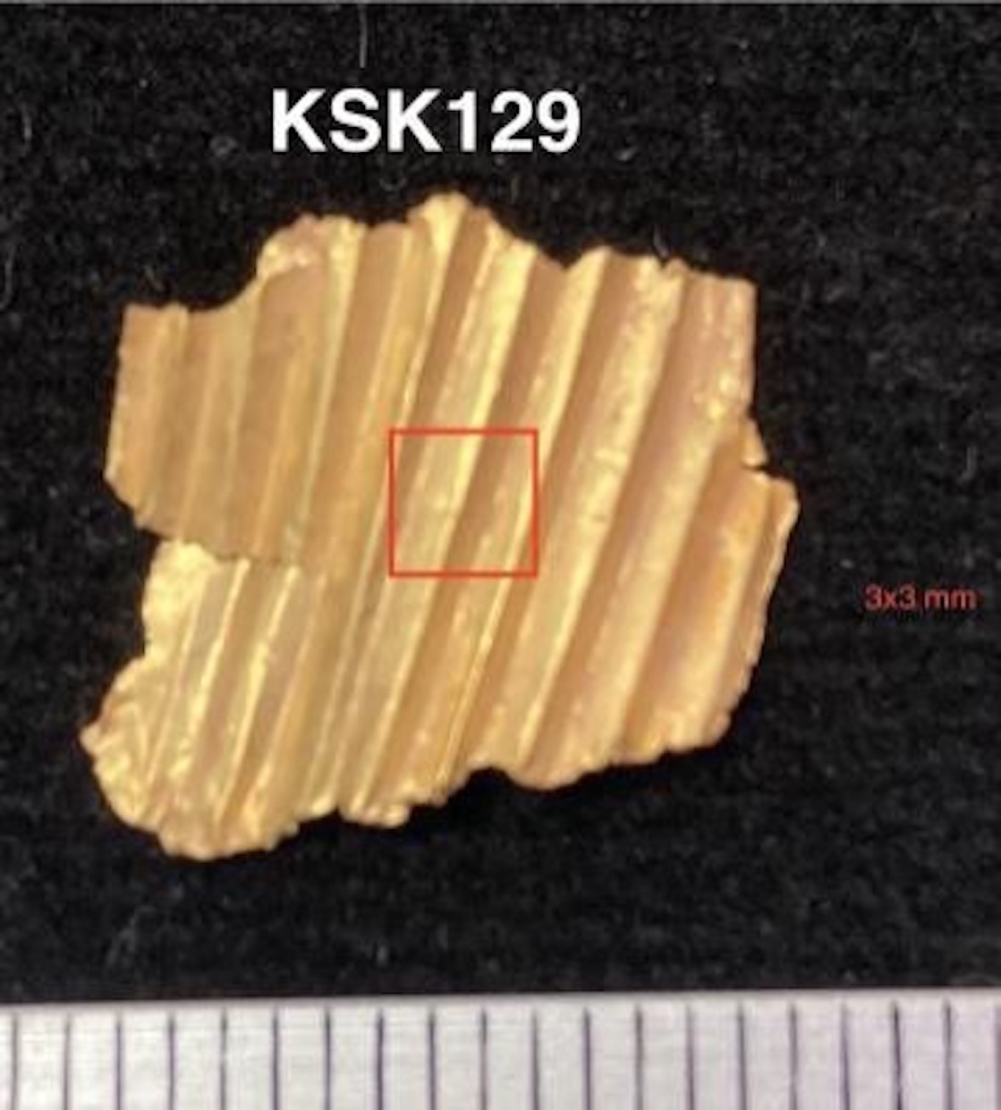 KSK_129-04.1.jpg