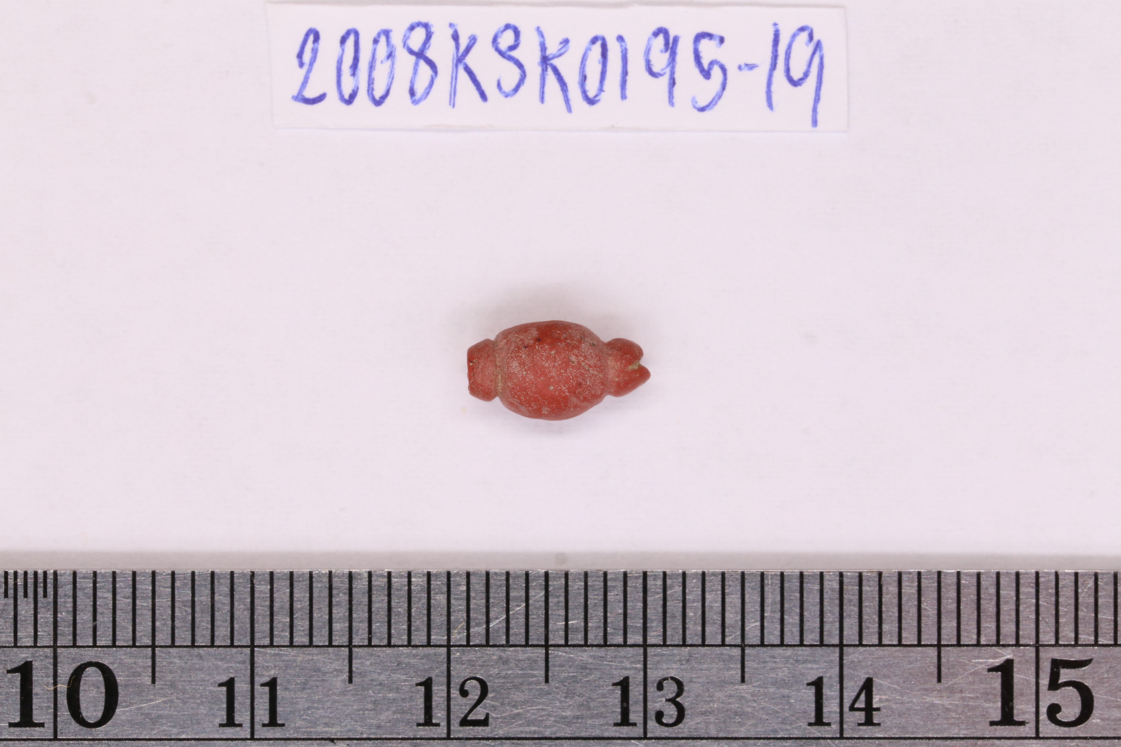 IMG_9371.JPG