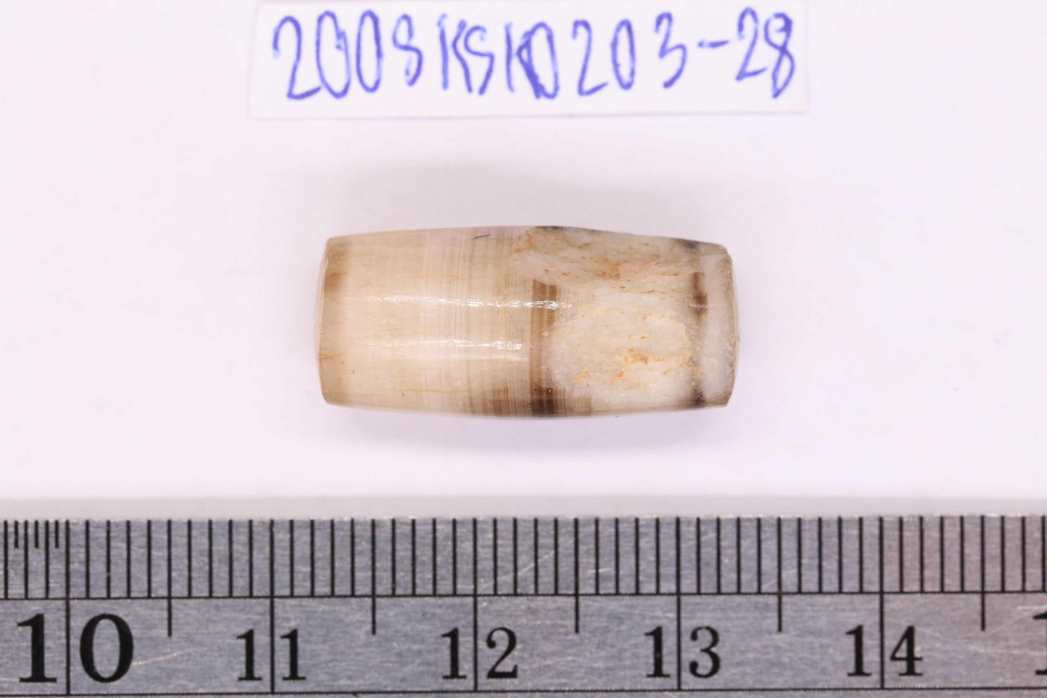 IMG_9747.JPG