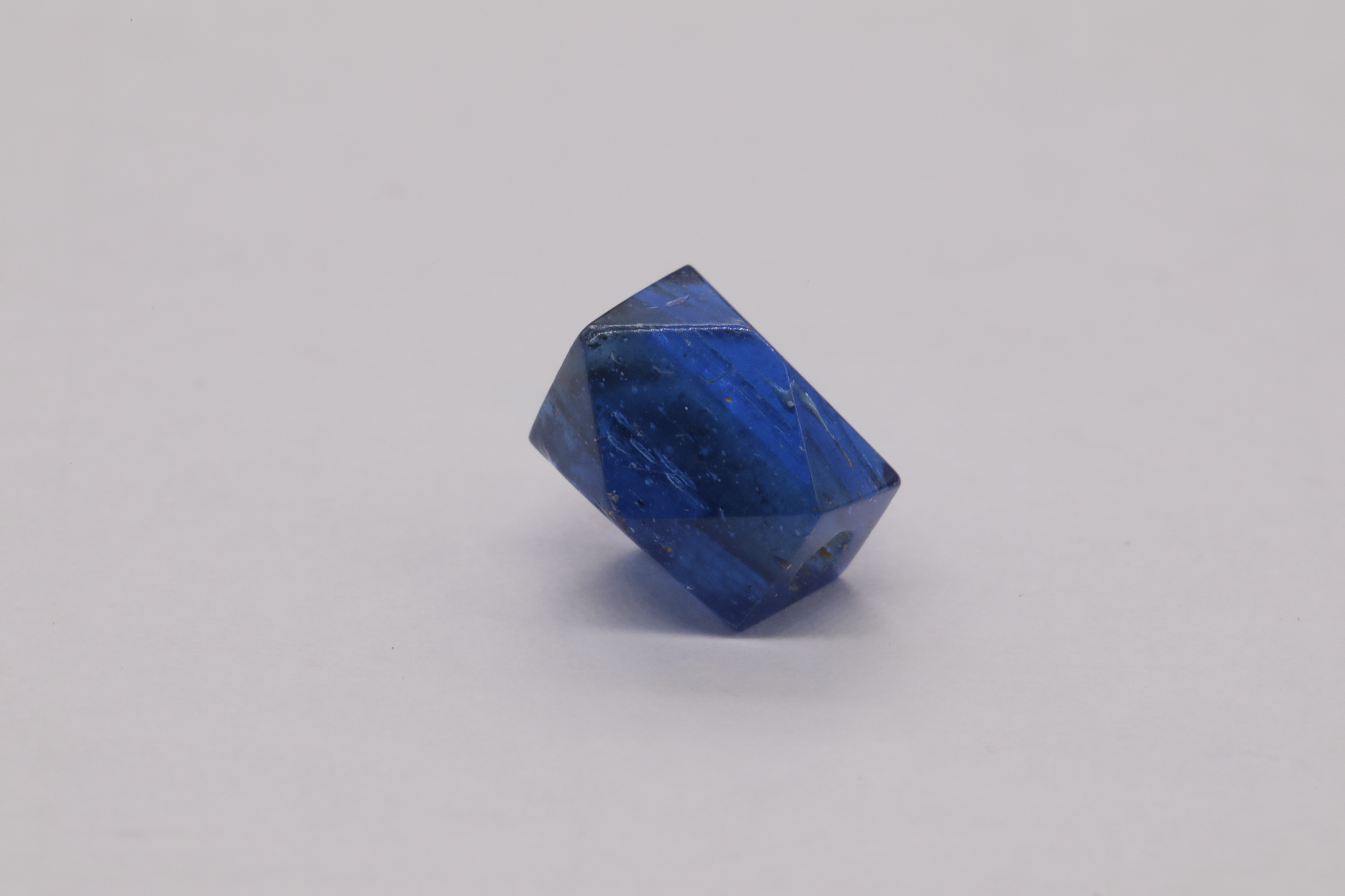 7O2A7982.JPG