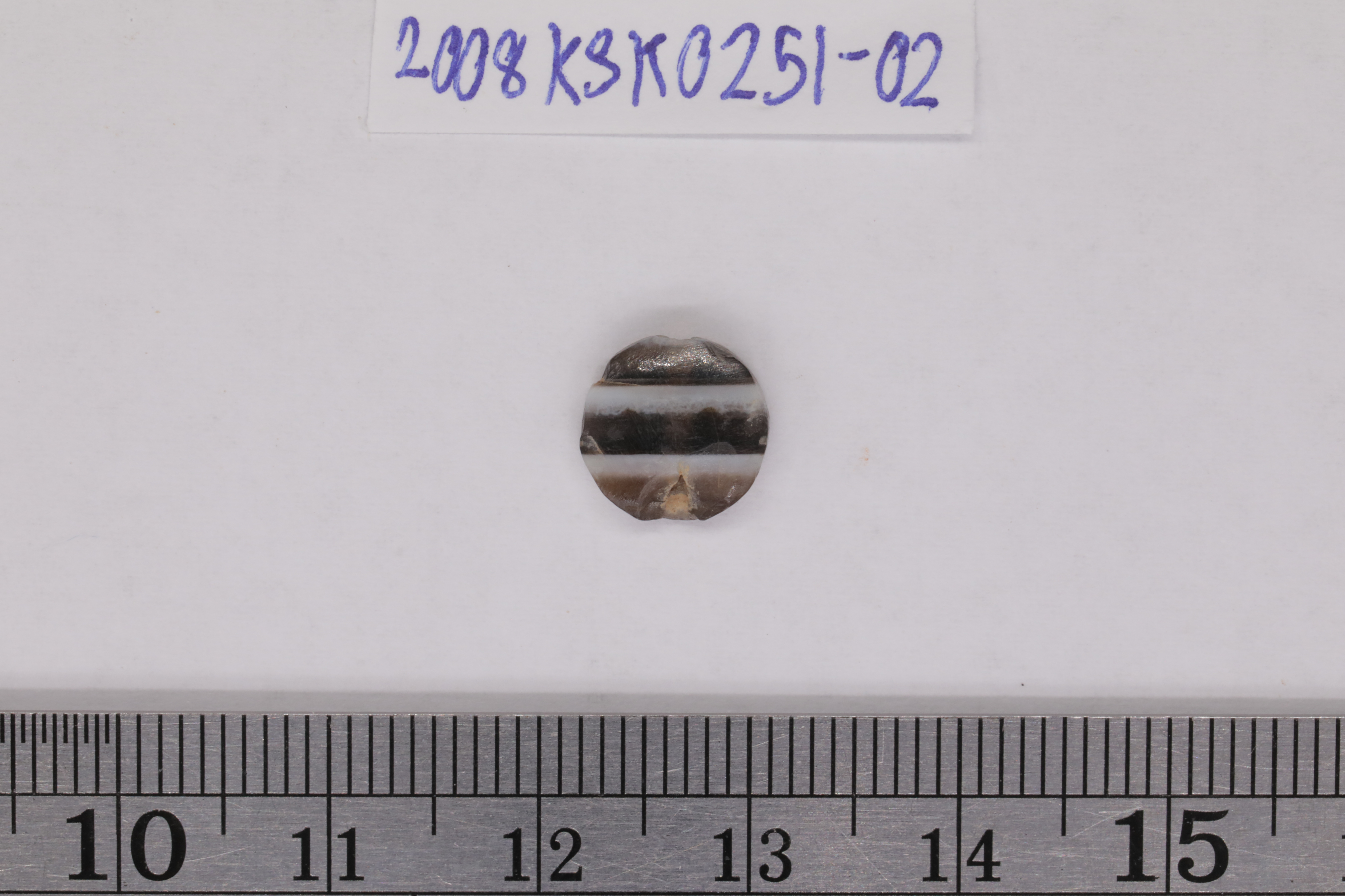 7O2A8036.JPG