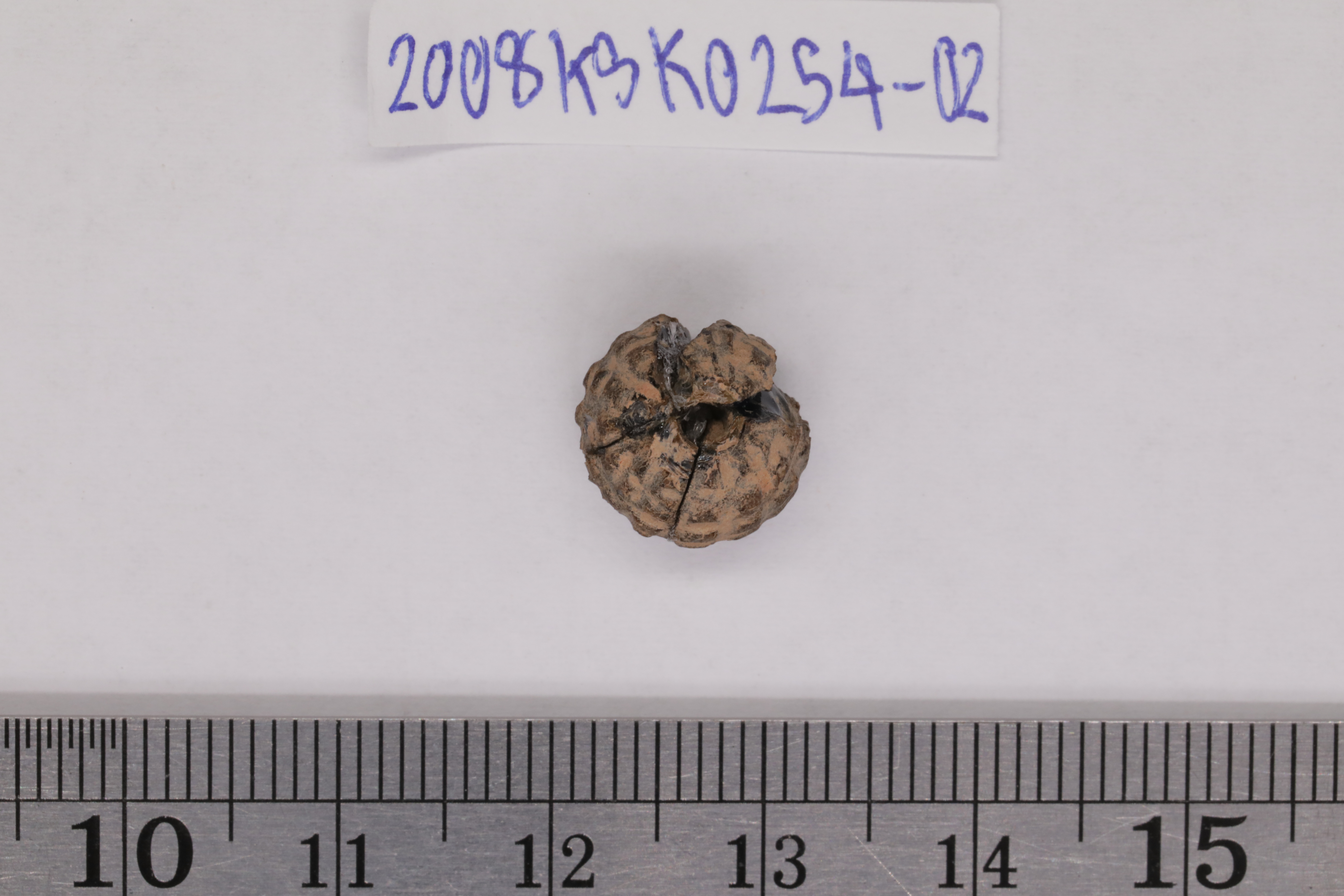 7O2A8010.JPG