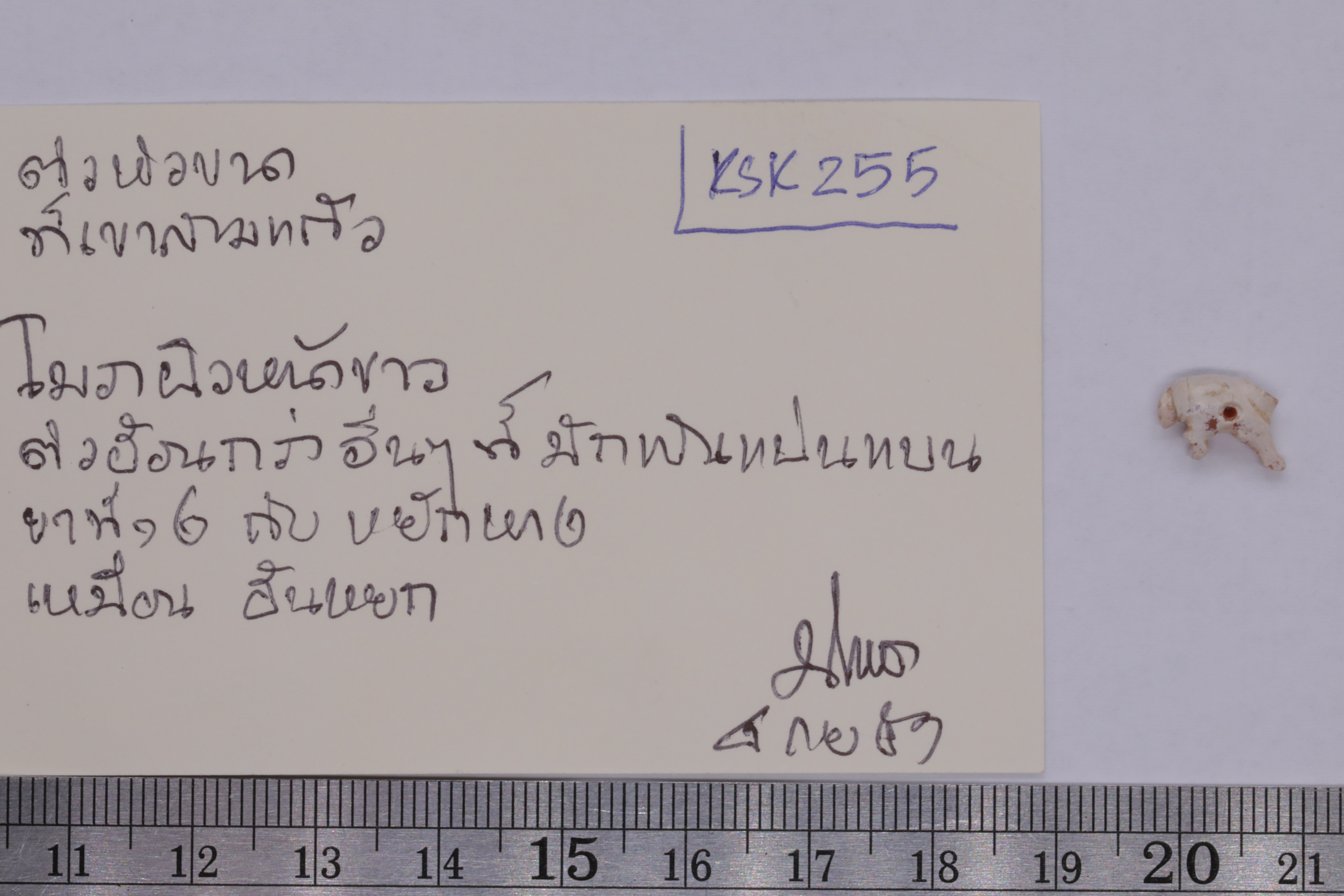 7O2A7798.JPG
