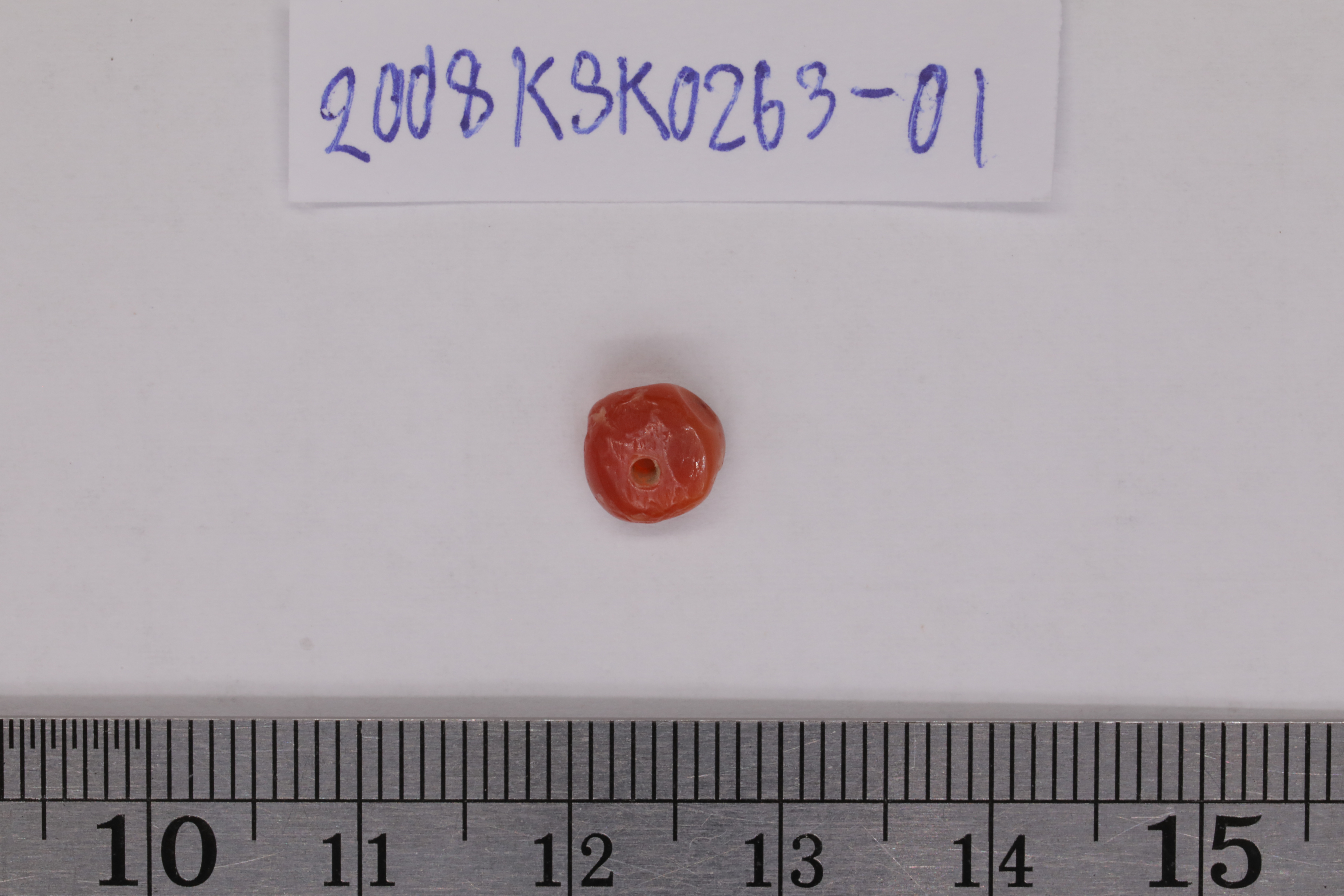 7O2A8095.JPG