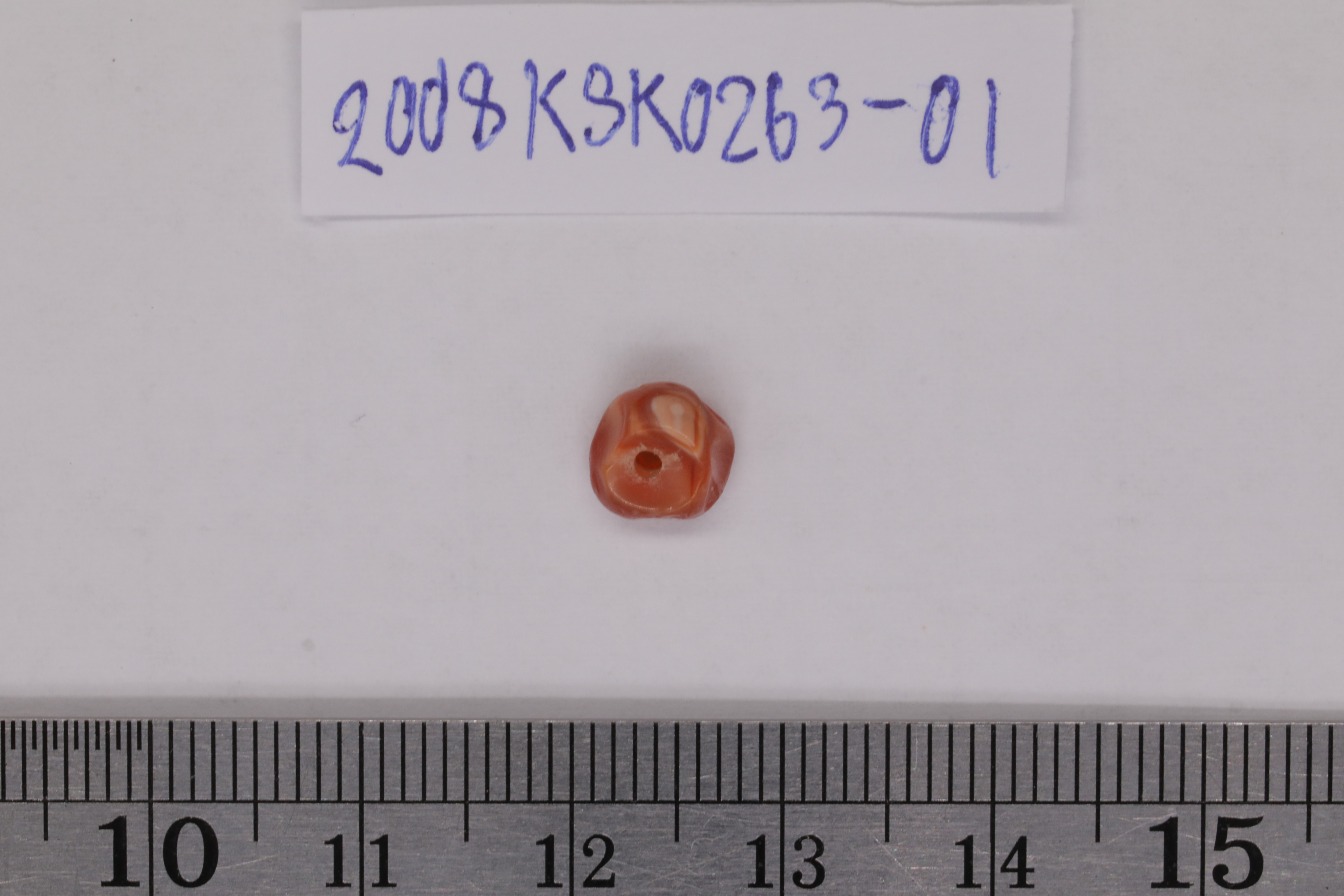 7O2A8096.JPG