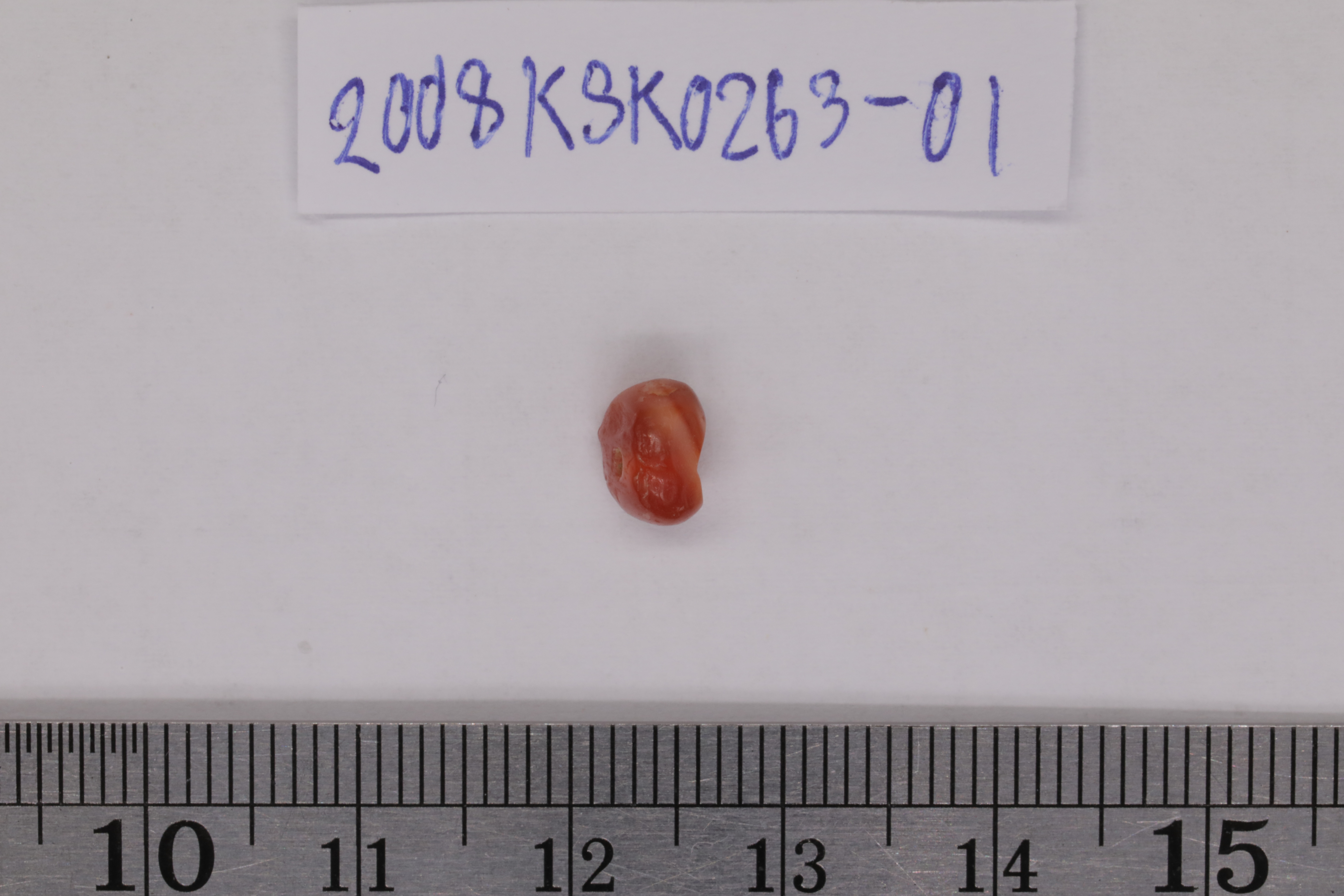 7O2A8097.JPG