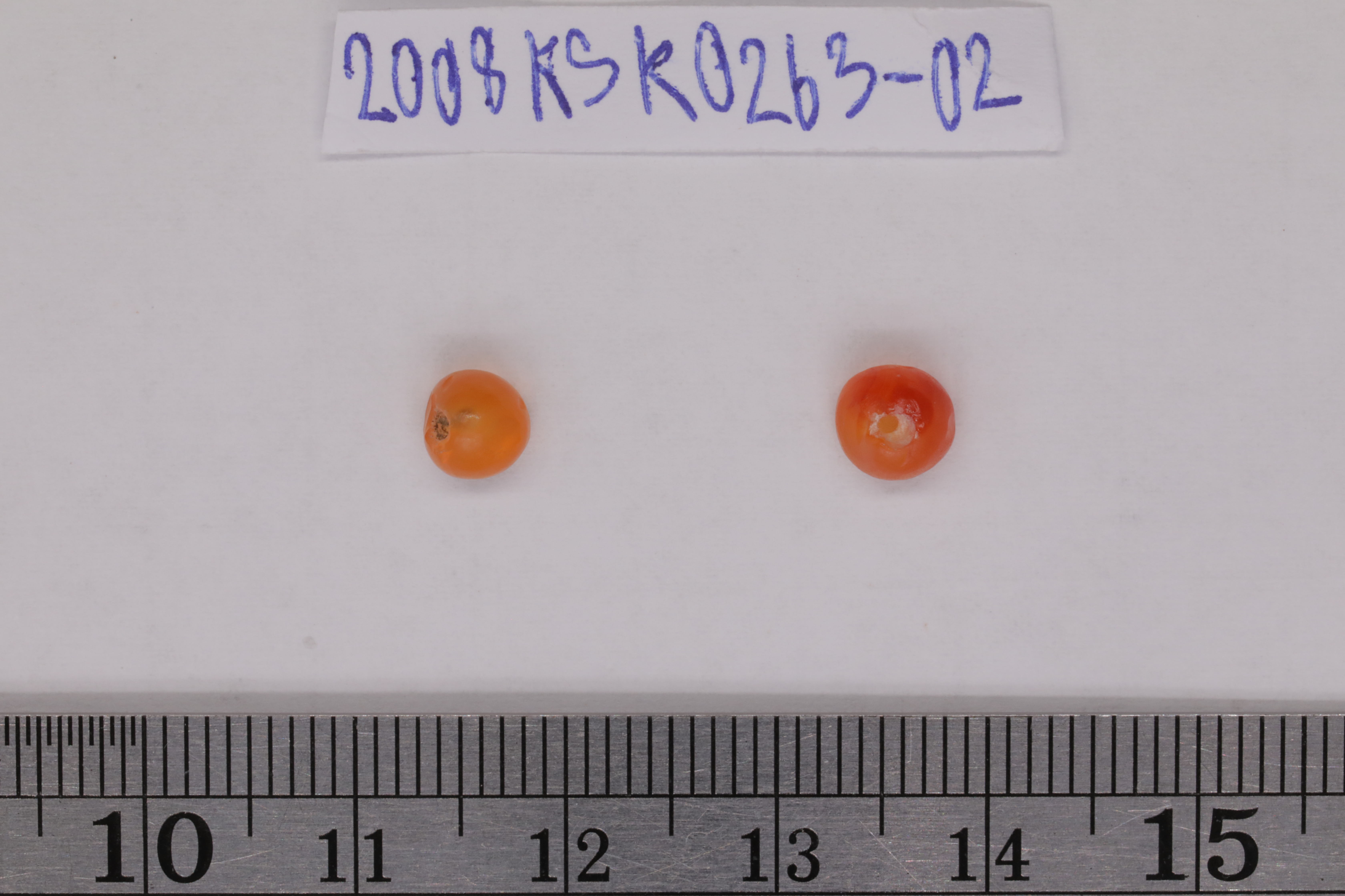 7O2A8093.JPG