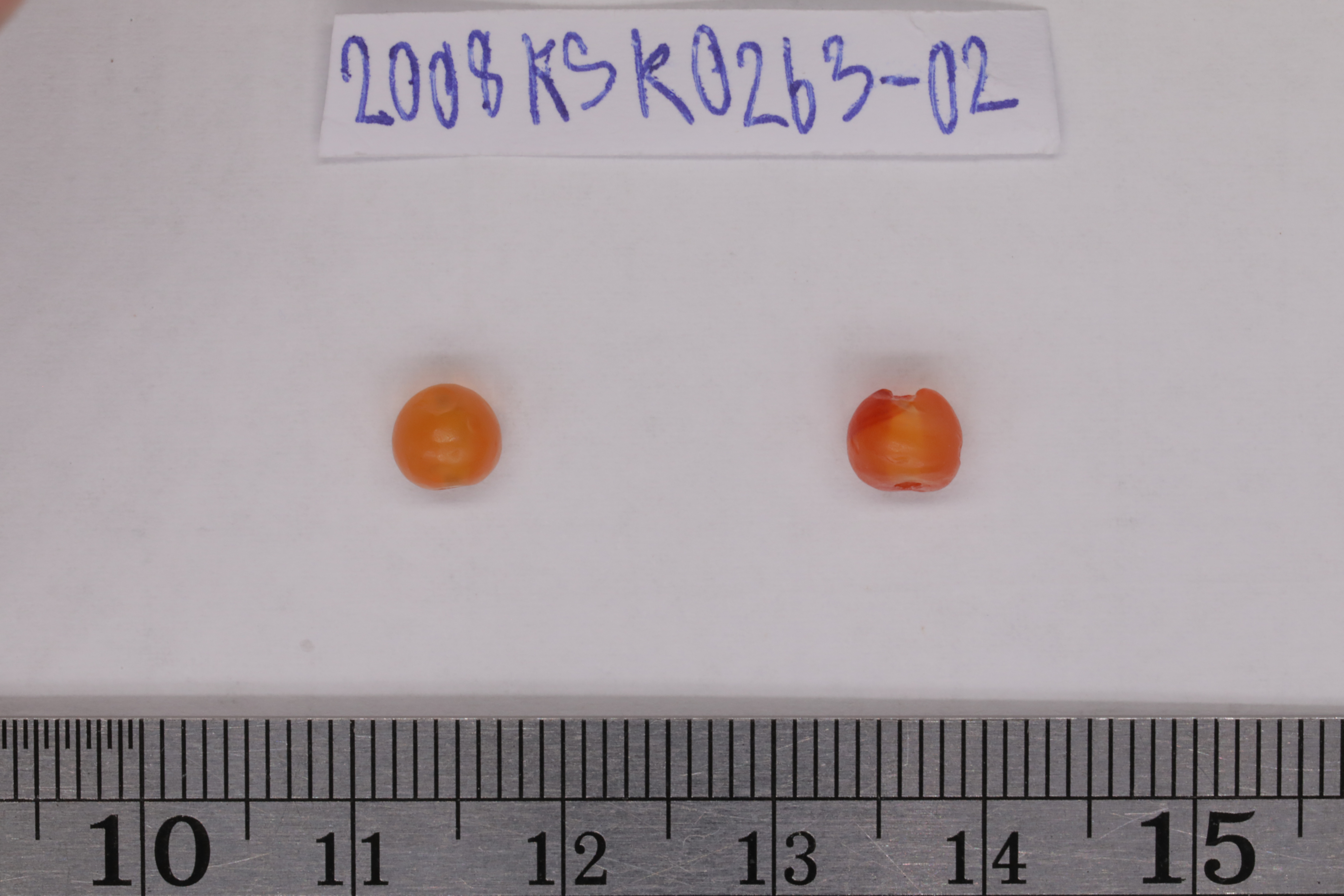 7O2A8094.JPG