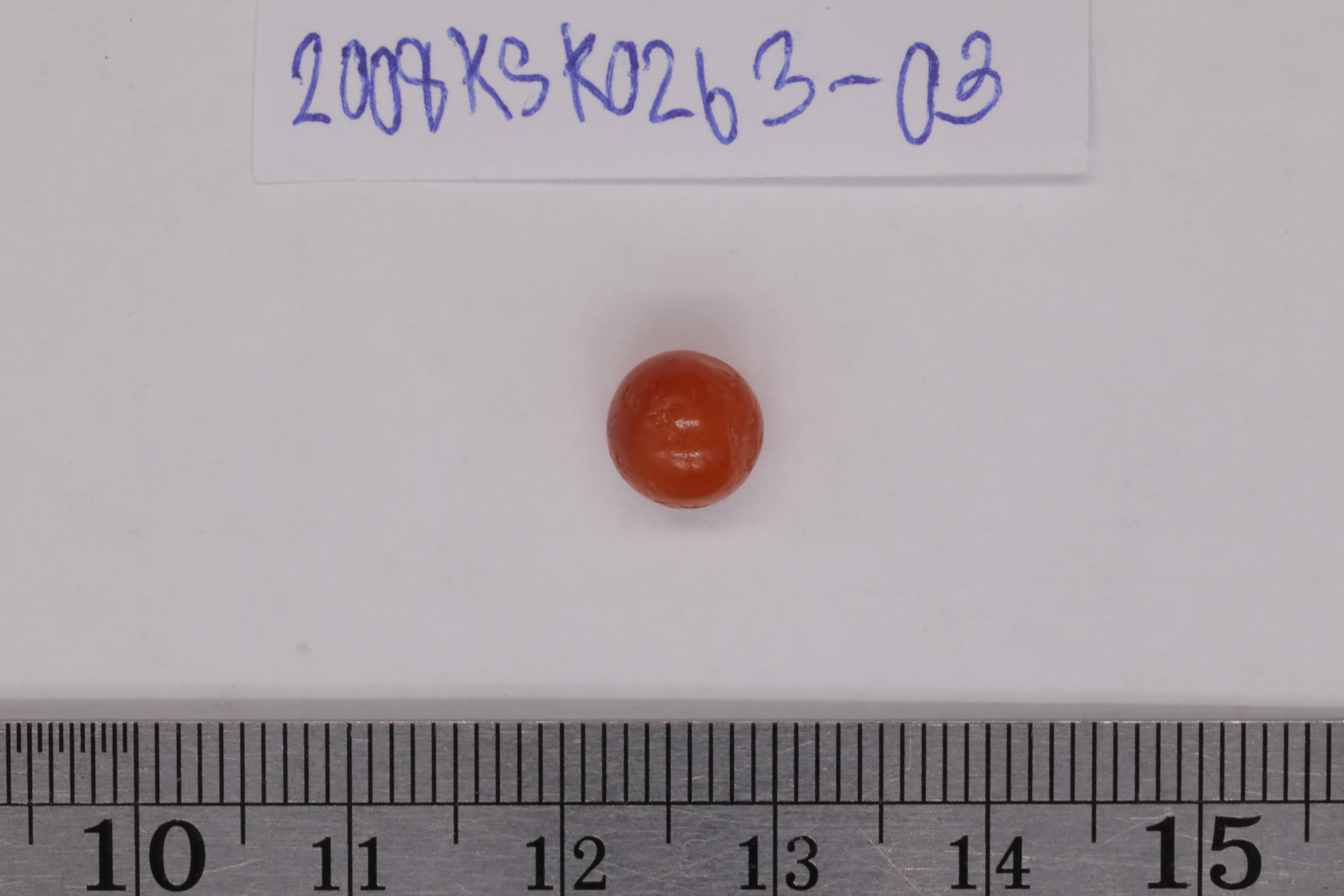 7O2A8092.JPG