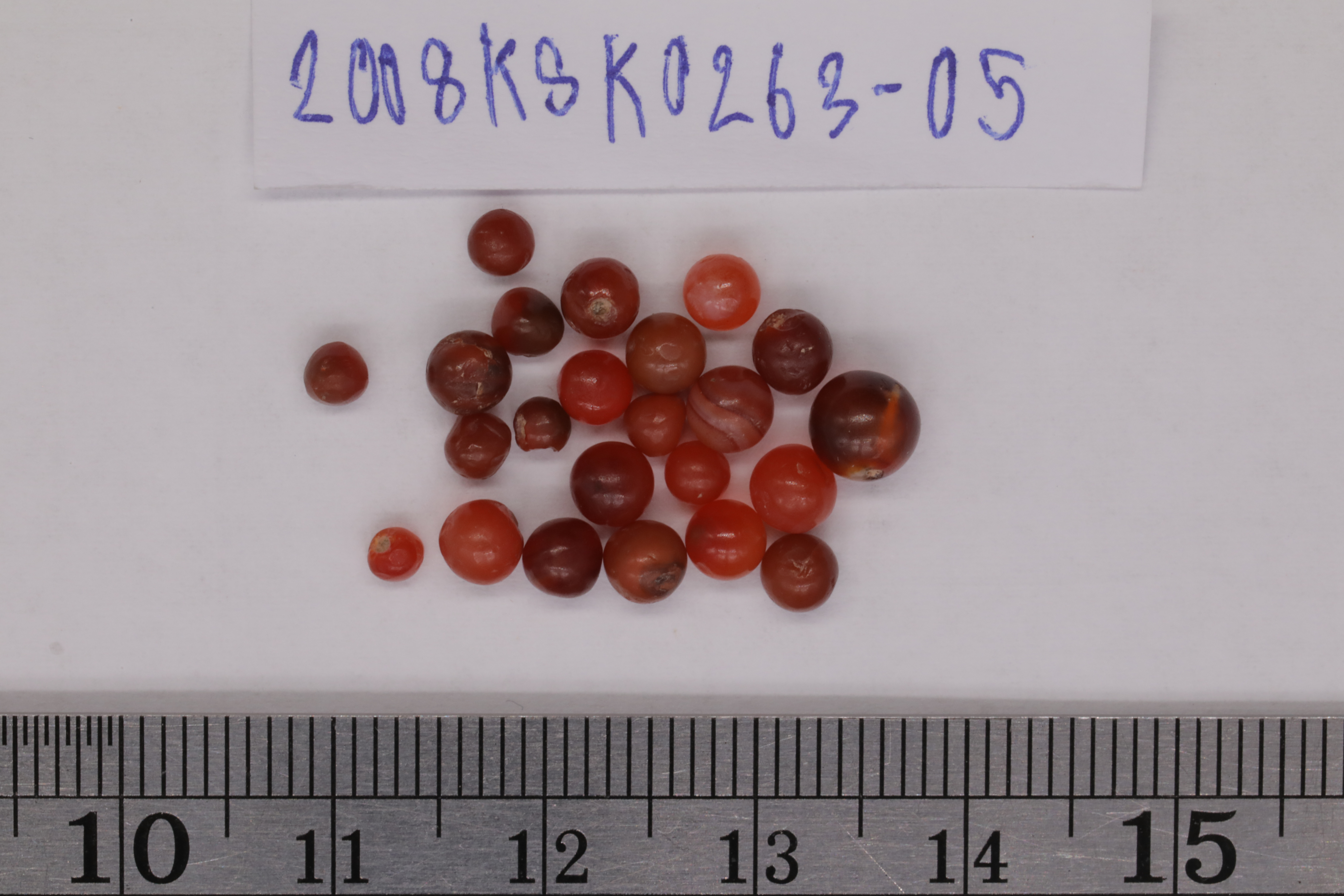 7O2A8089.JPG