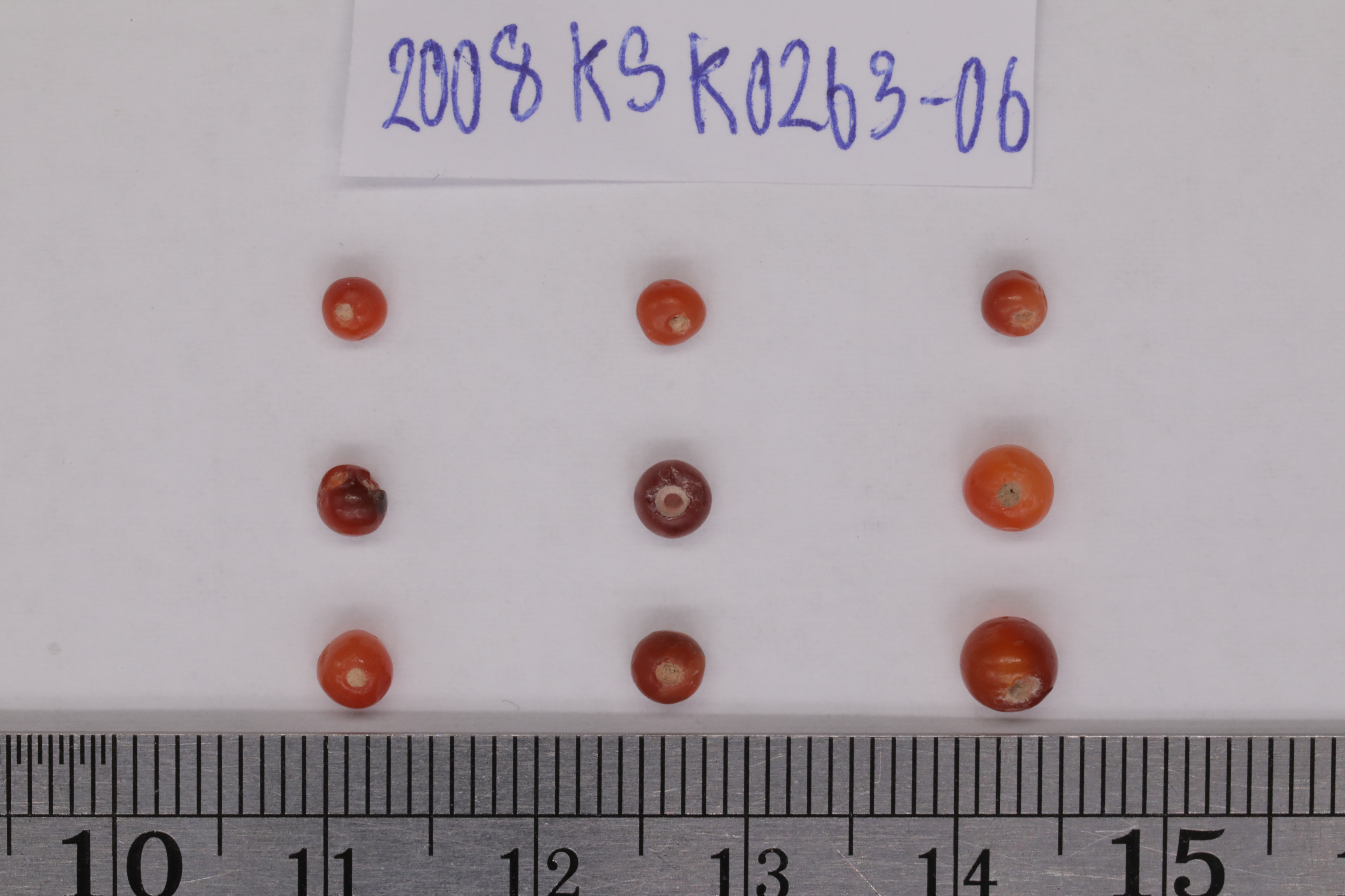 7O2A8088.JPG