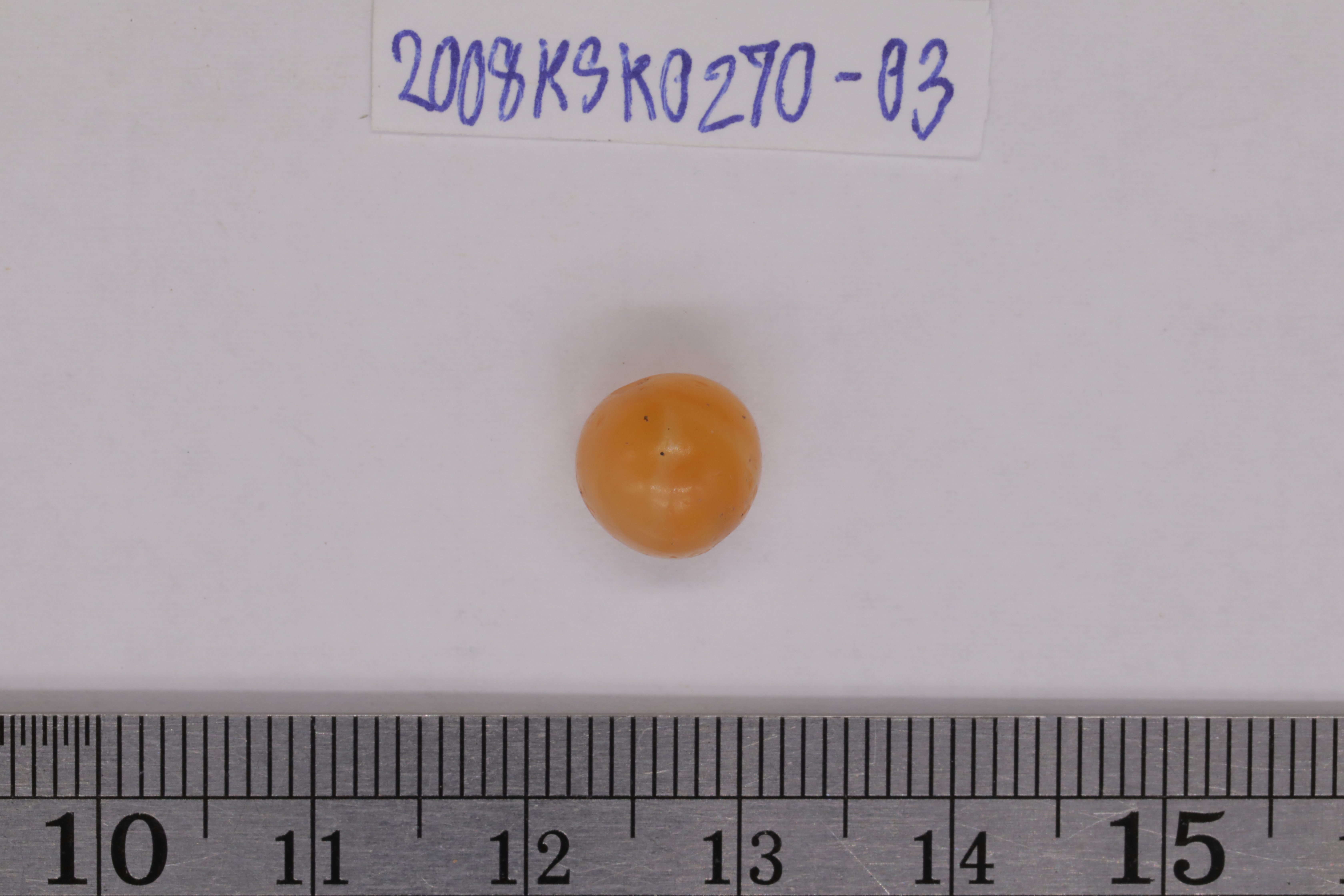 7O2A8145.JPG
