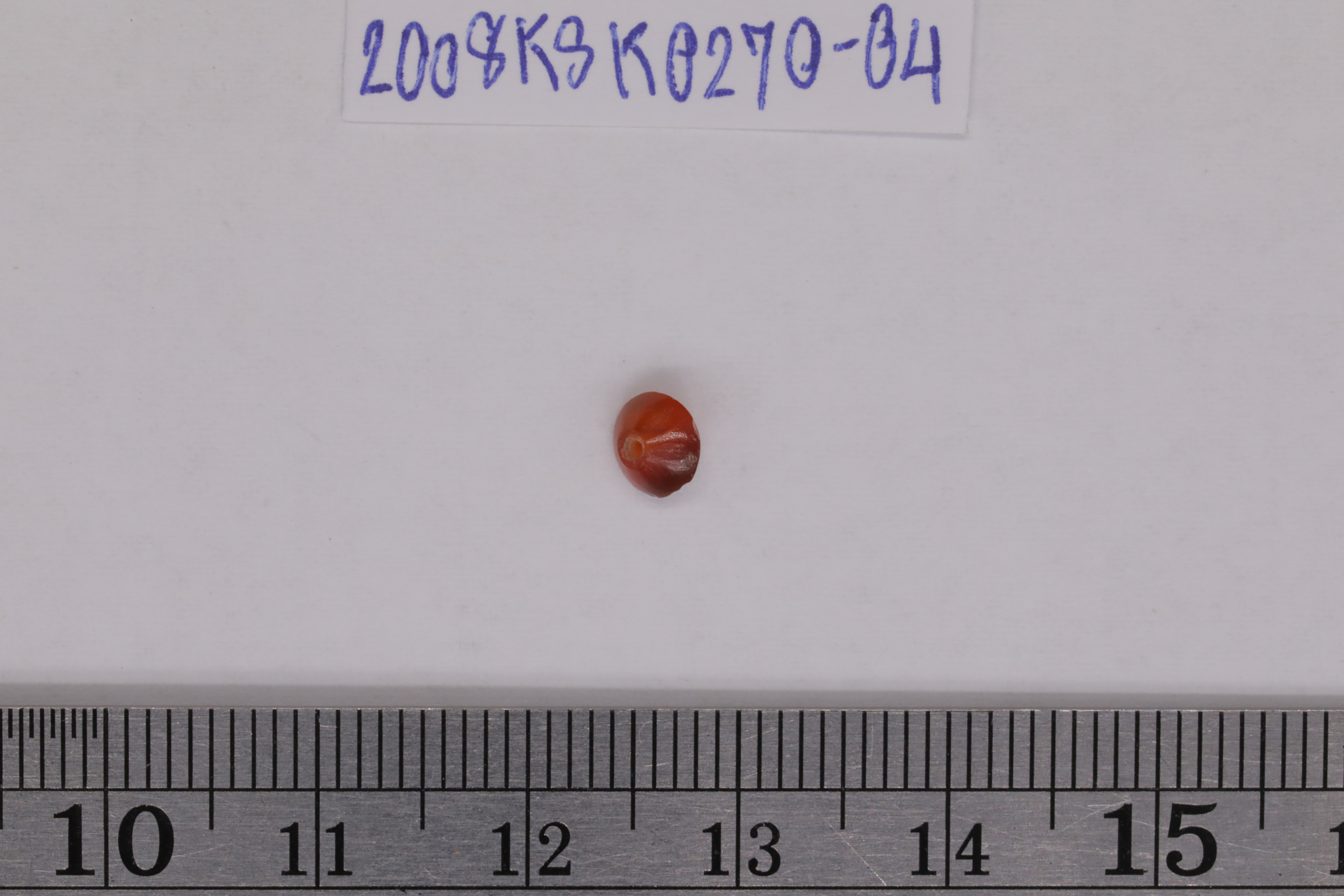 7O2A8147.JPG