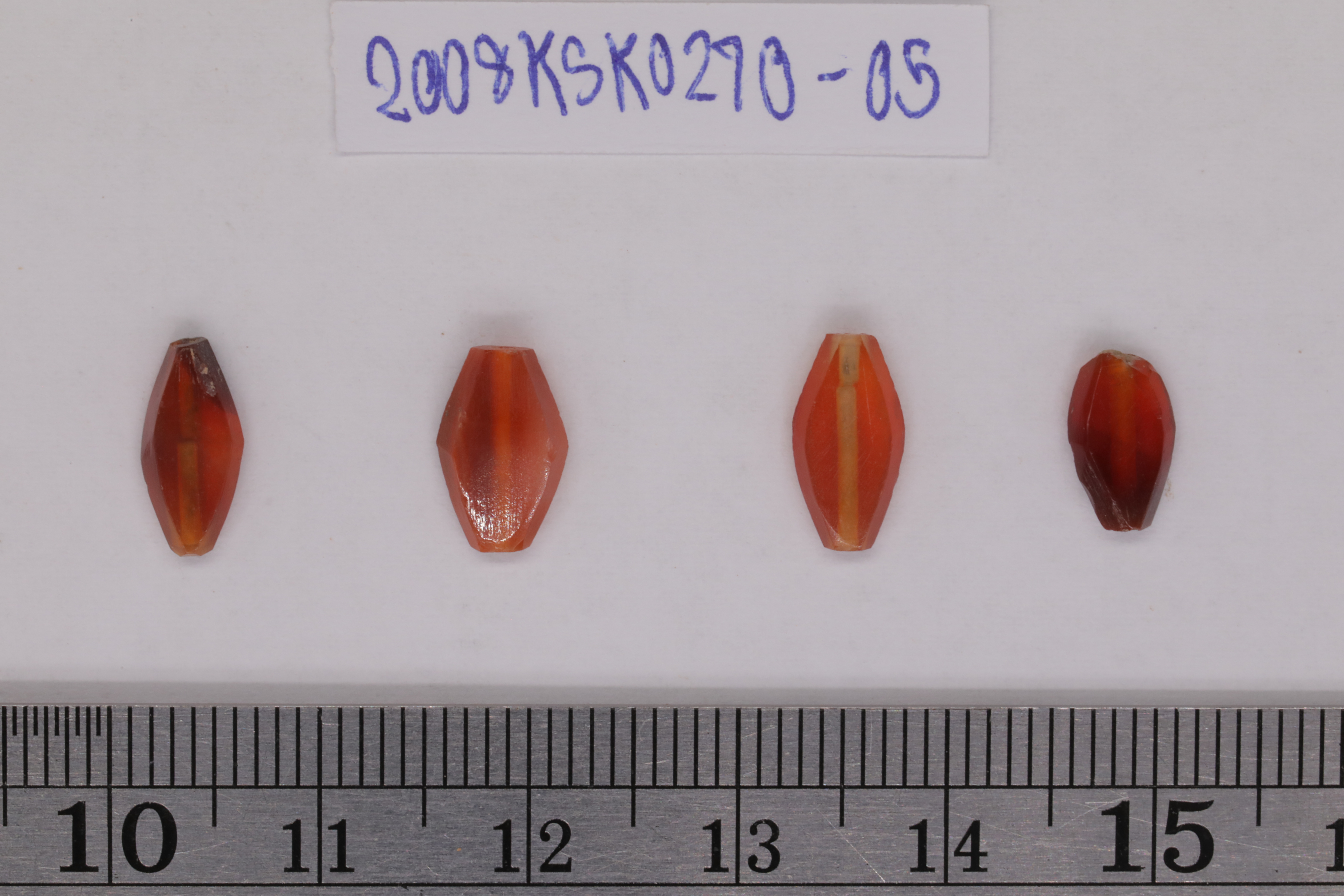 7O2A8149.JPG