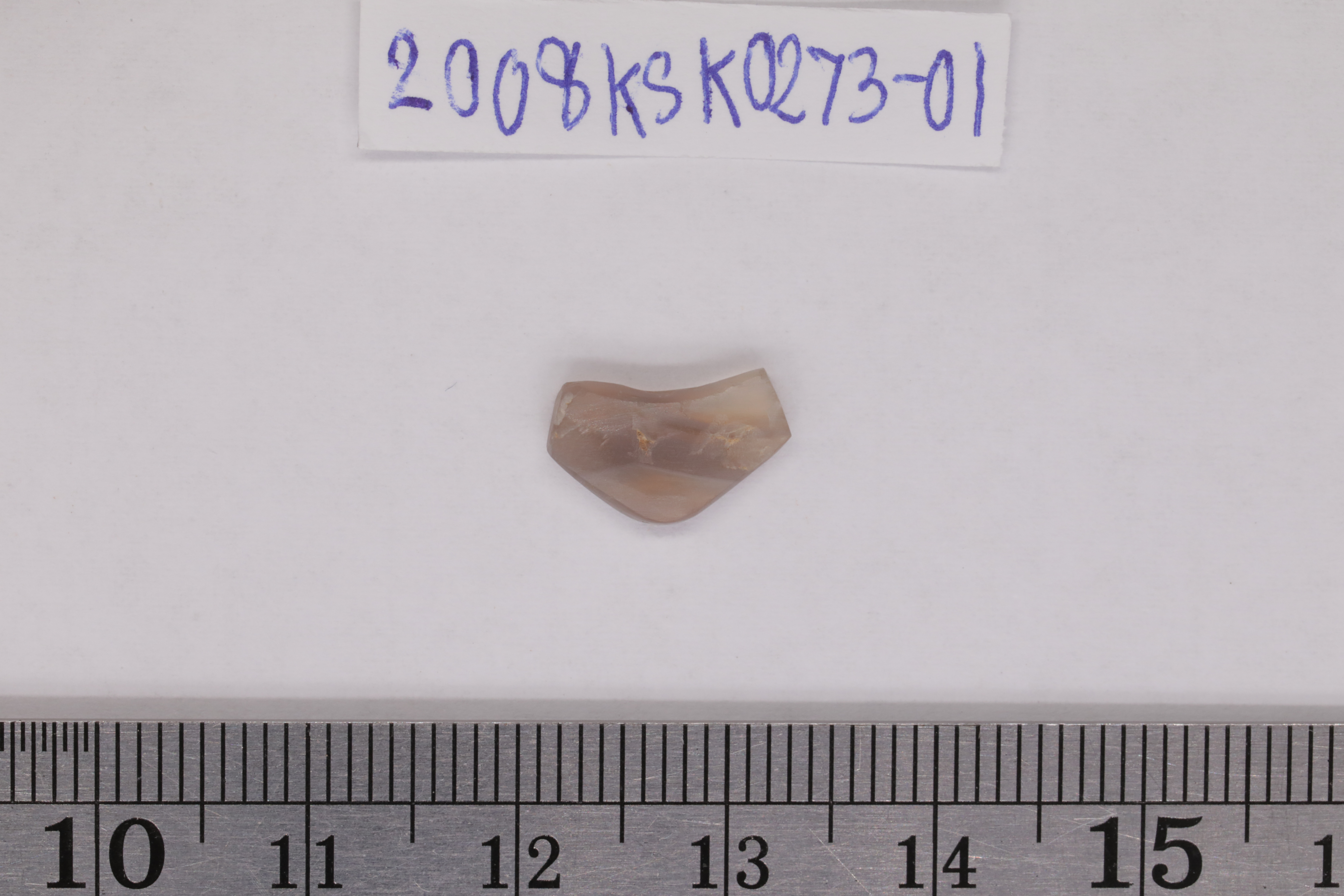 7O2A7991.JPG