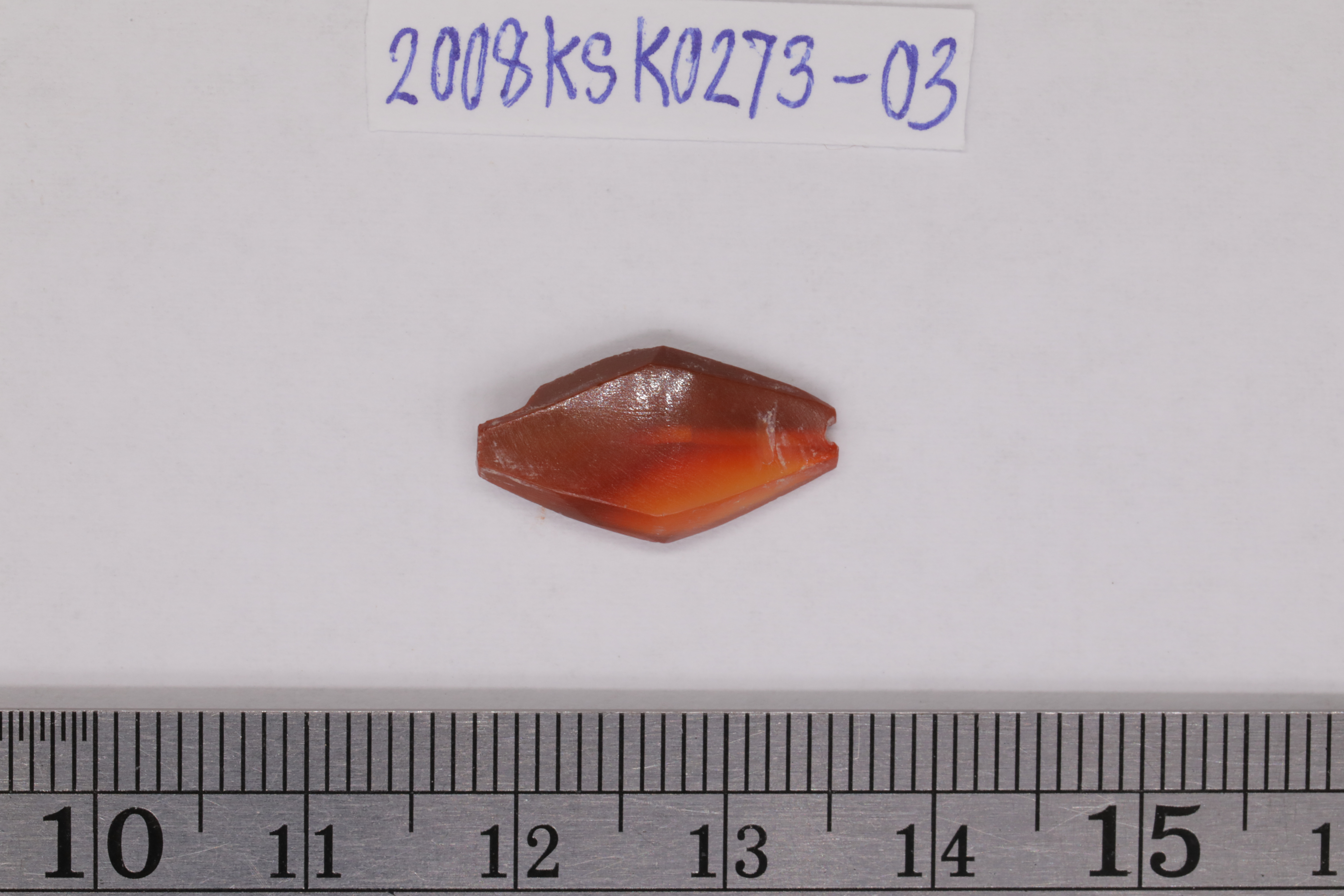7O2A7998.JPG