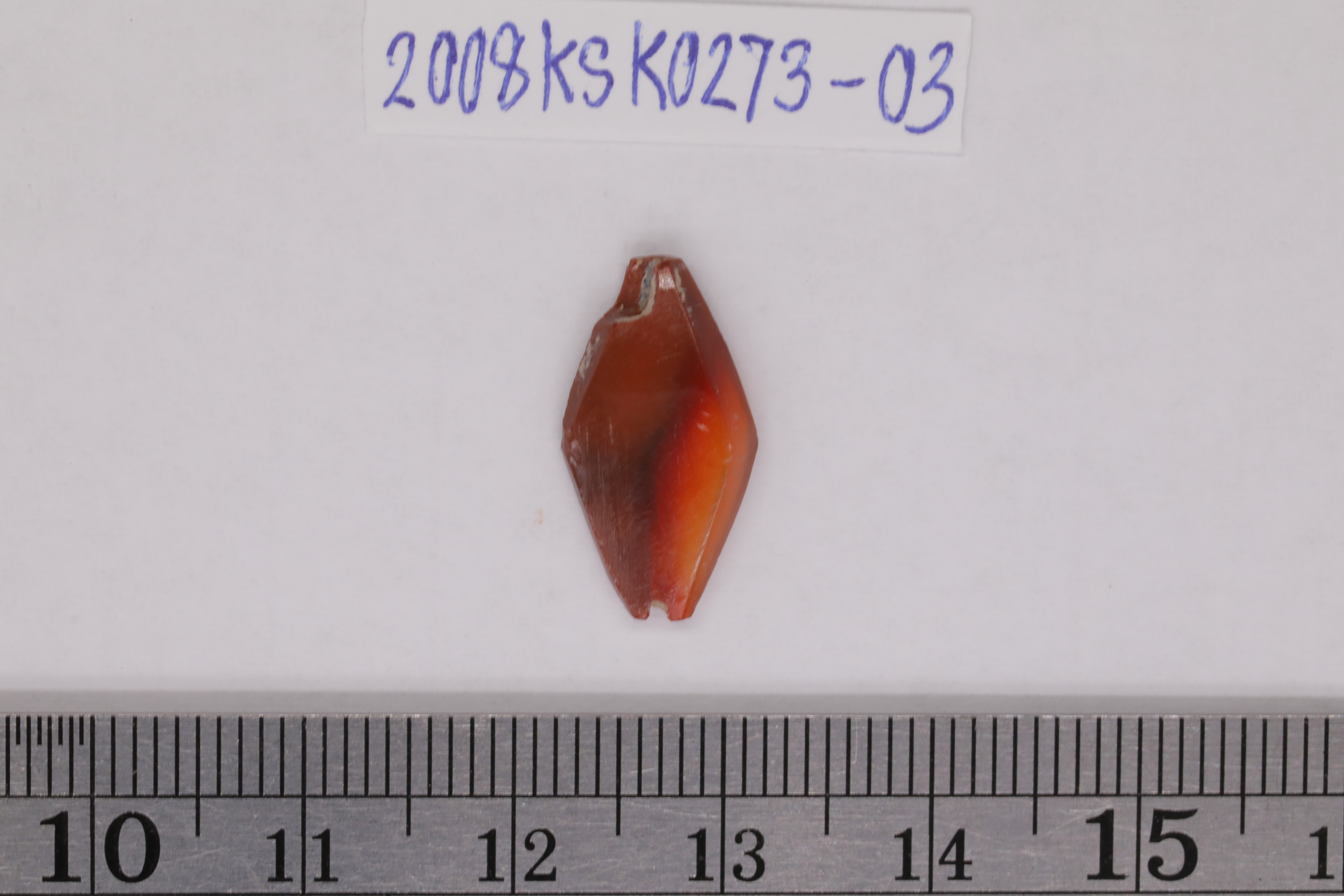 7O2A7999.JPG